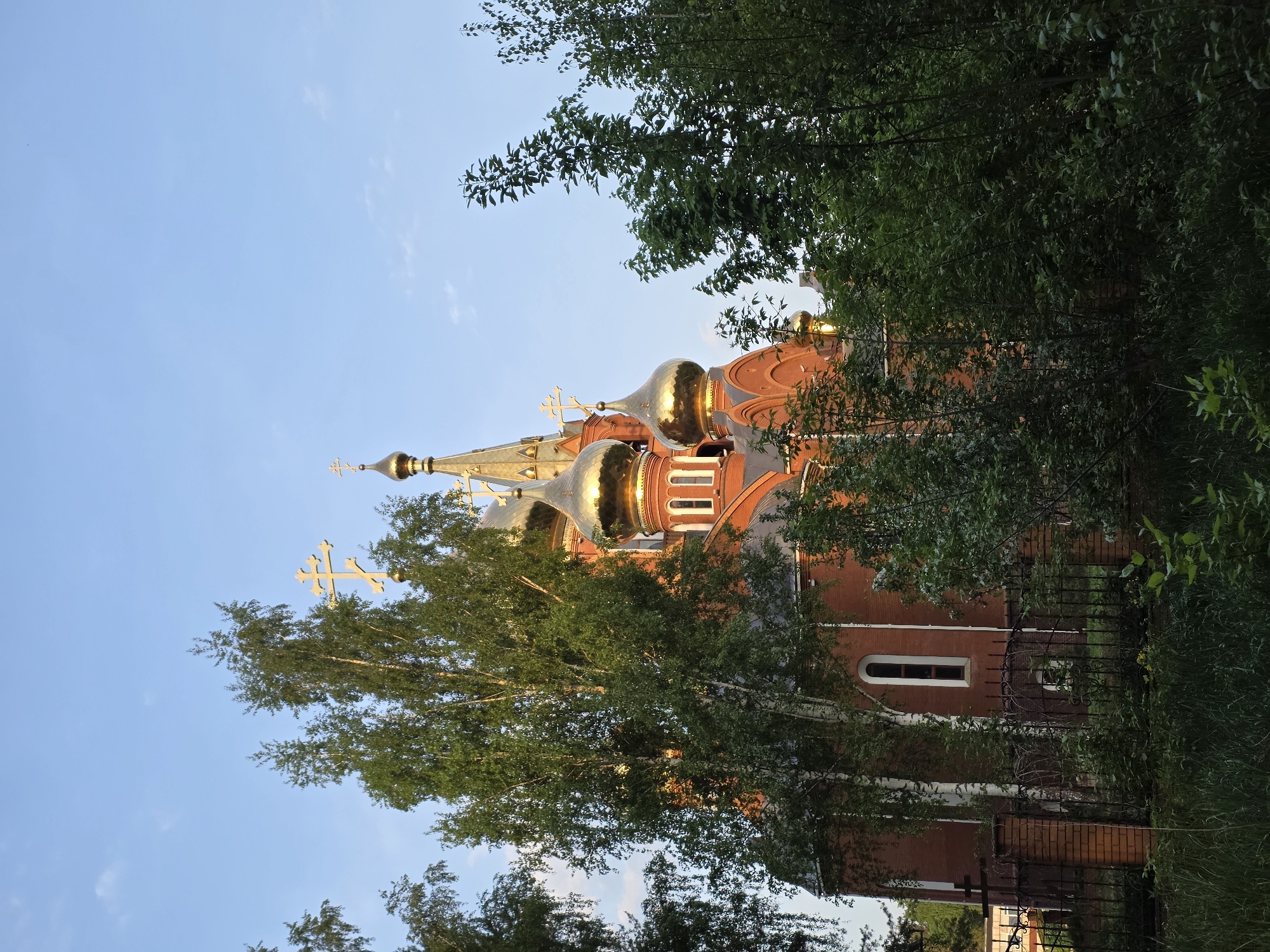The image captures a view of the Church of the Holy New Martyrs and Confessors of Russia in Chaikovsky, Russia. The red-brick building features several golden domes topped with Orthodox crosses. Trees partially obscure the church, framing the view of the sky in the background. A section of black metal fencing can be seen at the base of the structure, where taller grass is growing. The trees and grass on the sides are partially obscuring the building.
