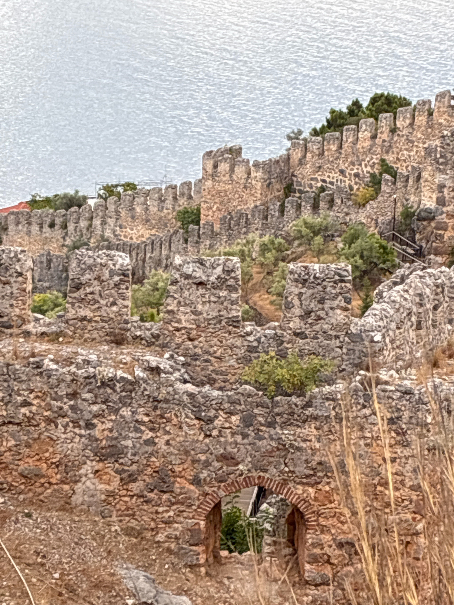 The image depicts a section of the Alanya Castle walls, a historical fortress located in Alanya, Turkey. The stone walls, constructed from rough-hewn rocks and mortar, are weathered and show signs of age. Crenellations run along the top of the walls, suggesting a defensive purpose. Vegetation, including small trees and shrubs, grows amidst the ruins and on the slopes. In the background, a body of water, likely the Mediterranean Sea, is visible, its surface rippling. The foreground consists of dry grass and rocky terrain. The scene appears to be a sunny day, with the light casting subtle shadows on the textured surfaces of the stones. There are no people visible in the image. The architecture and the presence of the sea strongly indicate the location as Alanya Castle.