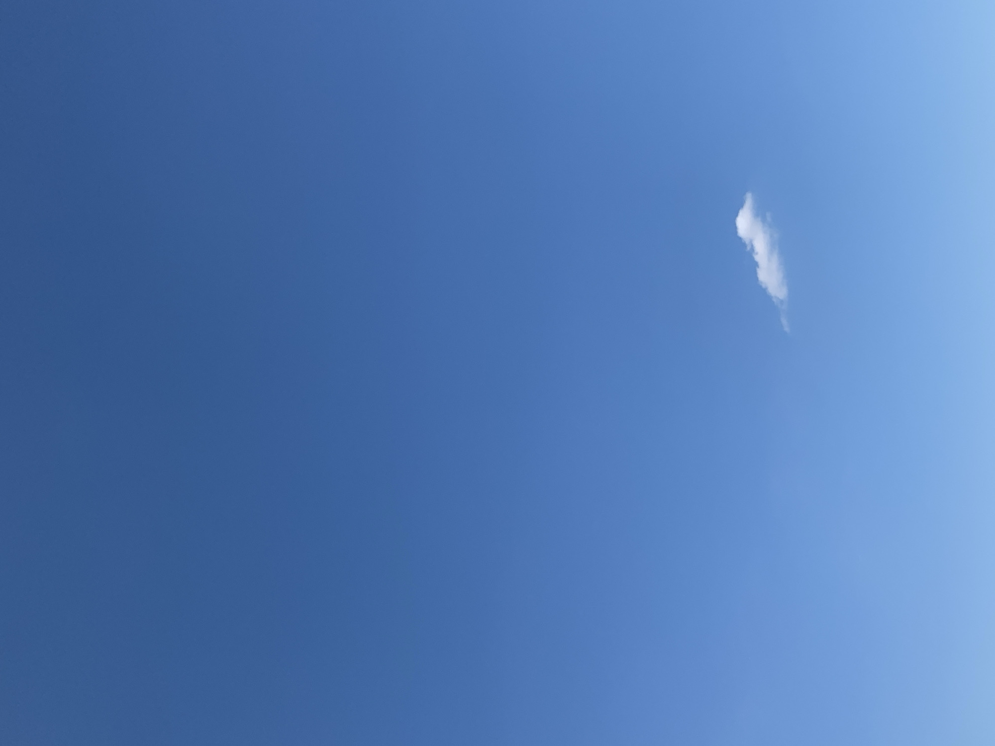 The image shows a clear blue sky with a single, small white cloud in the lower right quadrant. The sky occupies the vast majority of the frame. There are no people, buildings, or other objects visible in the image. The scene is consistent with an outdoor environment.