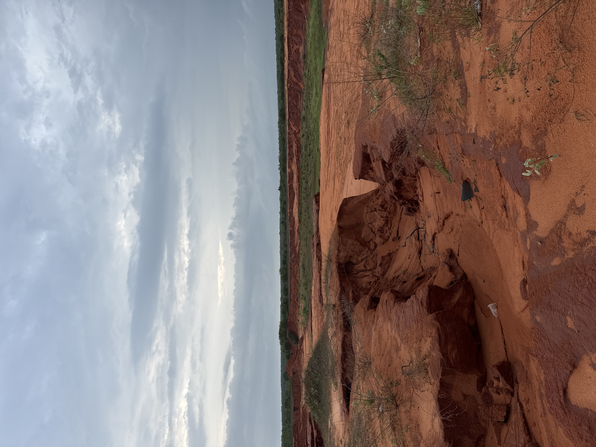 The image depicts a landscape of red sand dunes and eroded gullies, characteristic of the Red Sand Dunes of Mui Ne, Vietnam. The sky is overcast with a thick layer of gray clouds, suggesting it may be evening or pre-storm conditions. In the foreground, the textured red sand shows signs of erosion, with deep cuts and sharp edges. Sparse, dry vegetation, mostly low-lying bushes and weeds, are scattered across the sandy terrain. Further in the background, a line of green vegetation and trees forms a stark contrast to the red earth. The scene is devoid of any people or animals. A single piece of white plastic trash is visible in the lower left quadrant of the image.