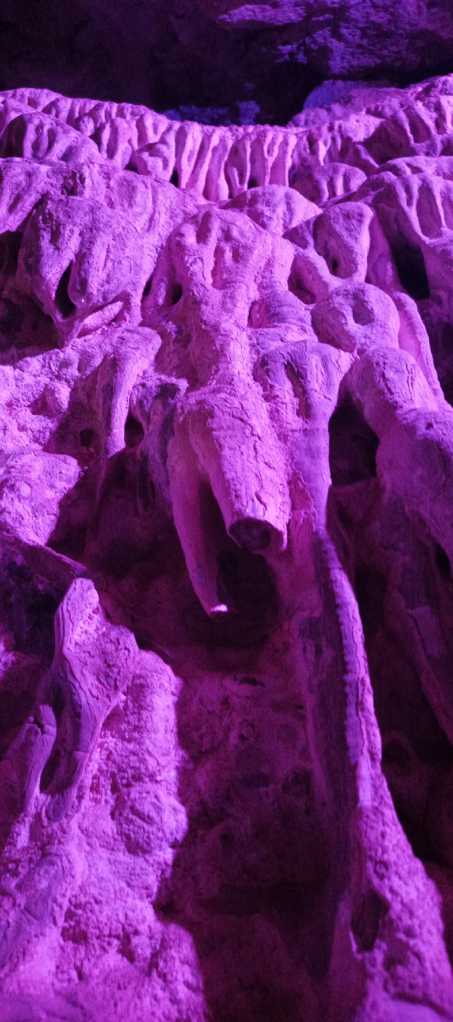 The image presents a detailed close-up of highly textured rock formations, bathed in a vibrant, artificial magenta and purple light. The scene depicts an interior space, likely a cave or grotto, given the geological appearance of the structures.
The formations completely fill the frame, showcasing a complex array of rough, convoluted surfaces. Many elements resemble irregular, elongated tubes, columns, or draping folds of rock, some with visible hollowed openings or deep crevices. The textures vary, appearing granular and porous in some areas, while others exhibit a smoother, more weathered finish. Dramatic shadows are cast by the intense purple lighting, accentuating the depth and ruggedness of the three-dimensional forms, with bright pink highlights contrasting against darker, deeper purple-blue shadowed sections. The overall impression is one of intricate natural or artificially sculpted geological features.
There are no people, animals, or discernible man-made objects other than the implied lighting source. No specific activity or event is taking place; the image is a static portrayal of the illuminated rock formations. The powerful purple illumination creates a mysterious, ethereal, and somewhat otherworldly atmosphere. There is no visible text within the image.