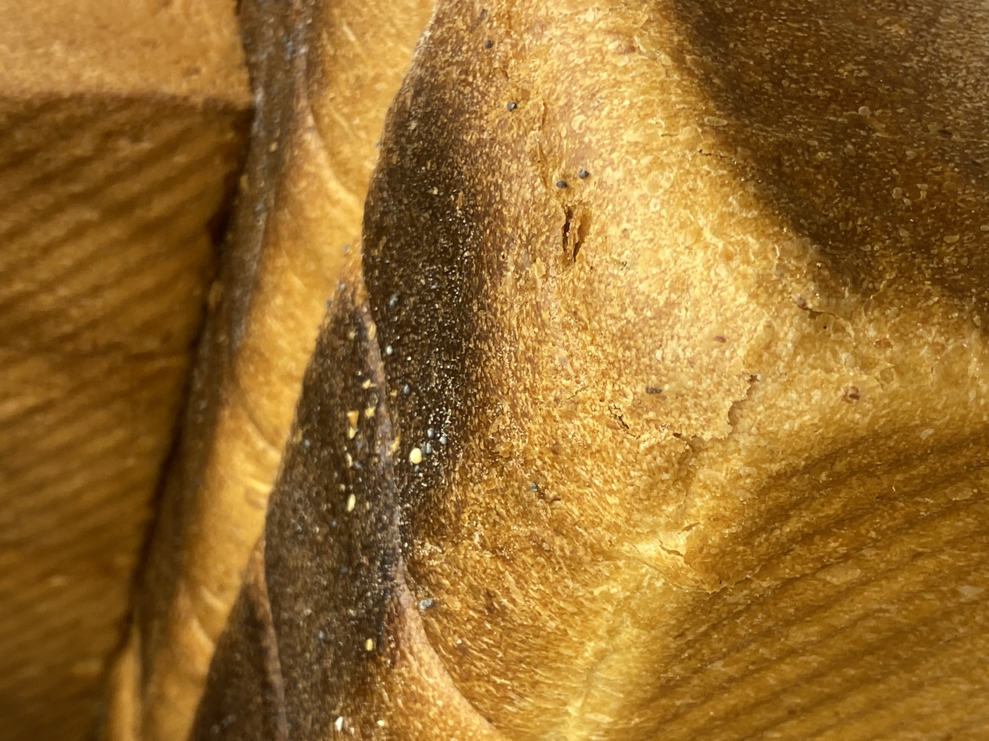 This is an extreme close-up photograph of the crust of baked bread. The image focuses on the texture, color, and imperfections of the bread's surface. The dominant colors are various shades of golden brown, with darker, almost black areas indicating charring or a darker bake. The surface shows a granular texture with small pits and crevices. Some small, dark specks, possibly seeds or burnt flour particles, are visible scattered across the crust. There are also lighter, almost white speckles, which could be flour dust or salt. The light source appears to be from the right, casting shadows that highlight the unevenness of the crust and creating a sense of depth. The composition is abstract, emphasizing the tactile qualities of the bread. No people, animals, or specific setting are discernible beyond the bread itself. The context of Warsaw, Poland, does not provide additional visual cues within the image.