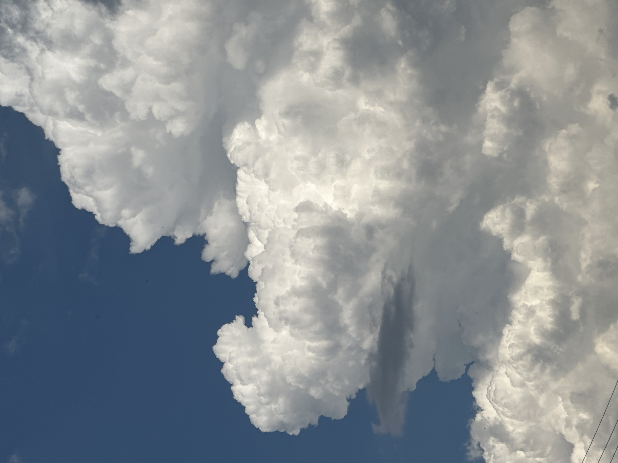 A close-up, vertically oriented shot captures a dramatic sky filled with voluminous, white cumulus clouds against a deep blue backdrop. The clouds are densely packed and textured, with bright highlights and shadowed depths, suggesting a dynamic weather system. A few wisps of darker, grayer clouds are visible at the lower left, hinting at the possibility of rain or a storm. In the bottom left corner, faint outlines of electrical wires are barely discernible, suggesting an urban or suburban setting. The scene appears to be devoid of people or any specific recognizable landmarks, focusing solely on the grandeur of the sky.