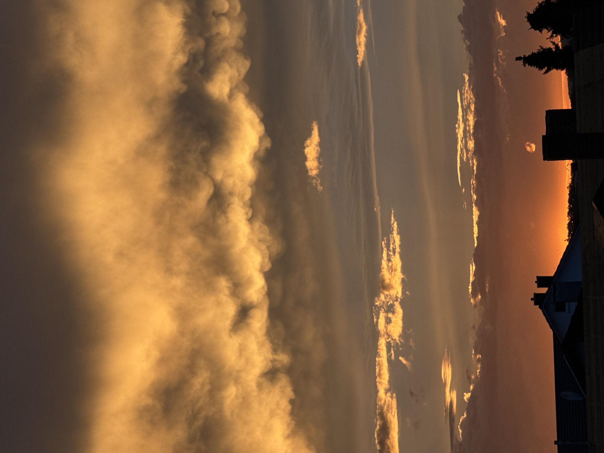 This is a vertical, full-frame shot of a dramatic sunset over Wettstetten, Germany. The sky dominates the frame, with thick, undulating clouds rendered in shades of deep orange, yellow, and grey. The upper portion of the sky is a dusky dark grey, transitioning to vibrant orange and yellow as it descends. Sunlight filters through the clouds, creating a luminous effect.
In the lower third of the image, silhouetted against the bright sky, are the rooftops of several houses. These structures are dark and indistinct, with chimneys visible on some. Two evergreen trees stand to the right of the frame, also silhouetted. The very bottom of the image shows a sliver of the horizon line with faint outlines of foliage. There are no people or animals visible. The overall impression is one of a powerful and colorful sky during either sunrise or sunset.