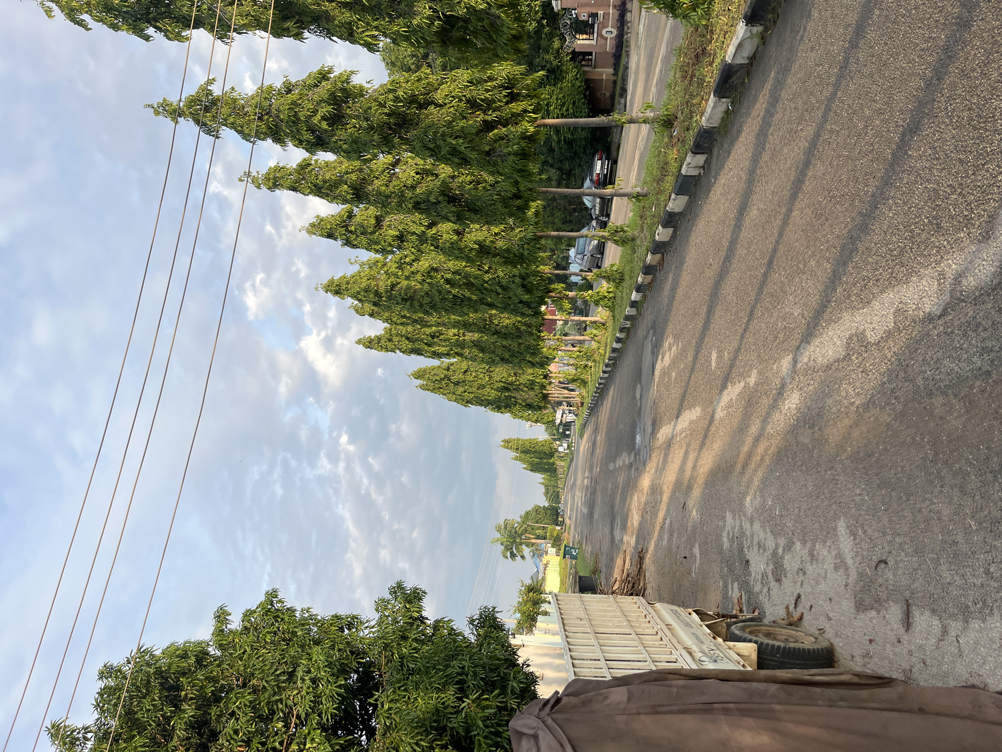 A street lined with tall, slender trees in Abuja, Nigeria, presents a tranquil scene. The trees, with their dense green foliage, create a verdant canopy along one side of the asphalt road. The road itself appears to be a two-lane street with visible white lane markings and a checkered black and white border along the sidewalk. A utility pole with several wires stretches across the top portion of the image, contrasting with the soft, cloudy sky.
On the left side of the road, a portion of a light-colored truck is visible, partially covered by a brown tarp. Next to the truck is a white metal fence, suggesting a residential or commercial area. Further down the street, more trees and buildings can be seen, indicating a developed urban environment. Several parked cars are visible on the right side of the road, near the trees and sidewalk. The sunlight casts long shadows across the road, indicating it might be early morning or late afternoon. The overall impression is one of a well-maintained street in a peaceful part of the city.