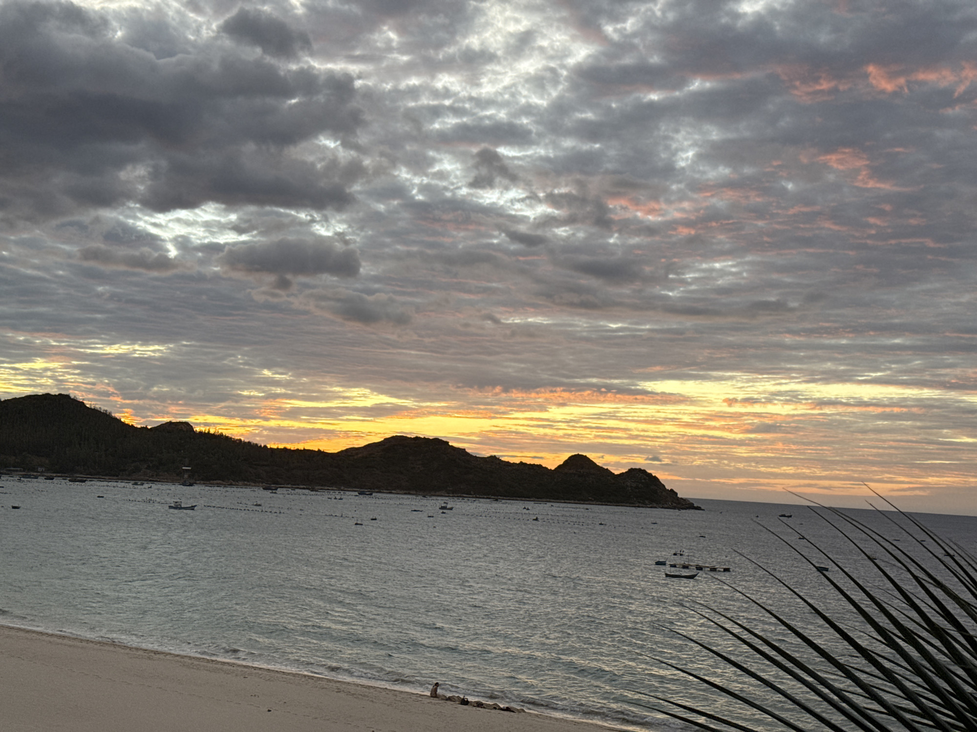 This is a wide, horizontal, eye-level, full shot of a coastal scene at dusk. The sky is filled with dense, textured clouds, with streaks of orange and pink reflecting the sunset. Below the sky, a long, dark, mountainous landmass stretches across the horizon, its silhouette stark against the bright sky. The water is a calm, grey-blue, with numerous small boats scattered across its surface, some of which appear to be moored. In the foreground, a sandy beach runs along the bottom of the frame, with a few rocks near a lone person sitting on the shore. On the right side of the frame, the fronds of a palm tree are visible, adding a tropical element to the scene. The overall mood is serene and tranquil.