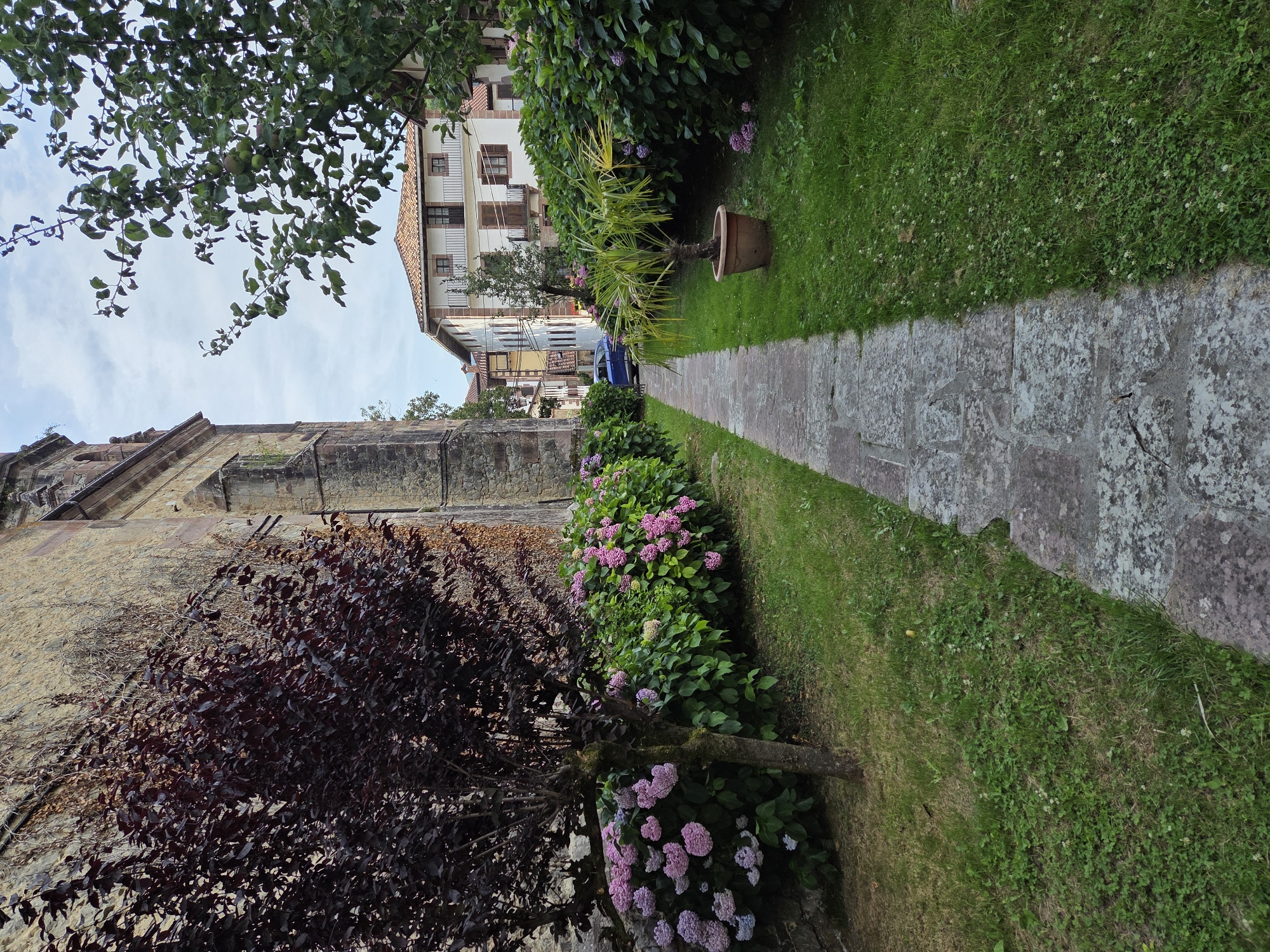 In Baztan, Spain, a stone pathway is bordered by a lush green lawn and a dense hedge of pink and purple hydrangeas. To the left of the pathway, a dark-leaved tree stands next to the hydrangeas, with a stone building visible behind them. The building features weathered stone construction with arched windows. Further down the pathway, on the right, a small palm tree in a terracotta pot sits on the lawn, which is also edged by the hydrangea hedge. In the background, traditional Spanish houses with tiled roofs and balconies are visible, with a blue car parked on the street. The sky is overcast with scattered clouds.