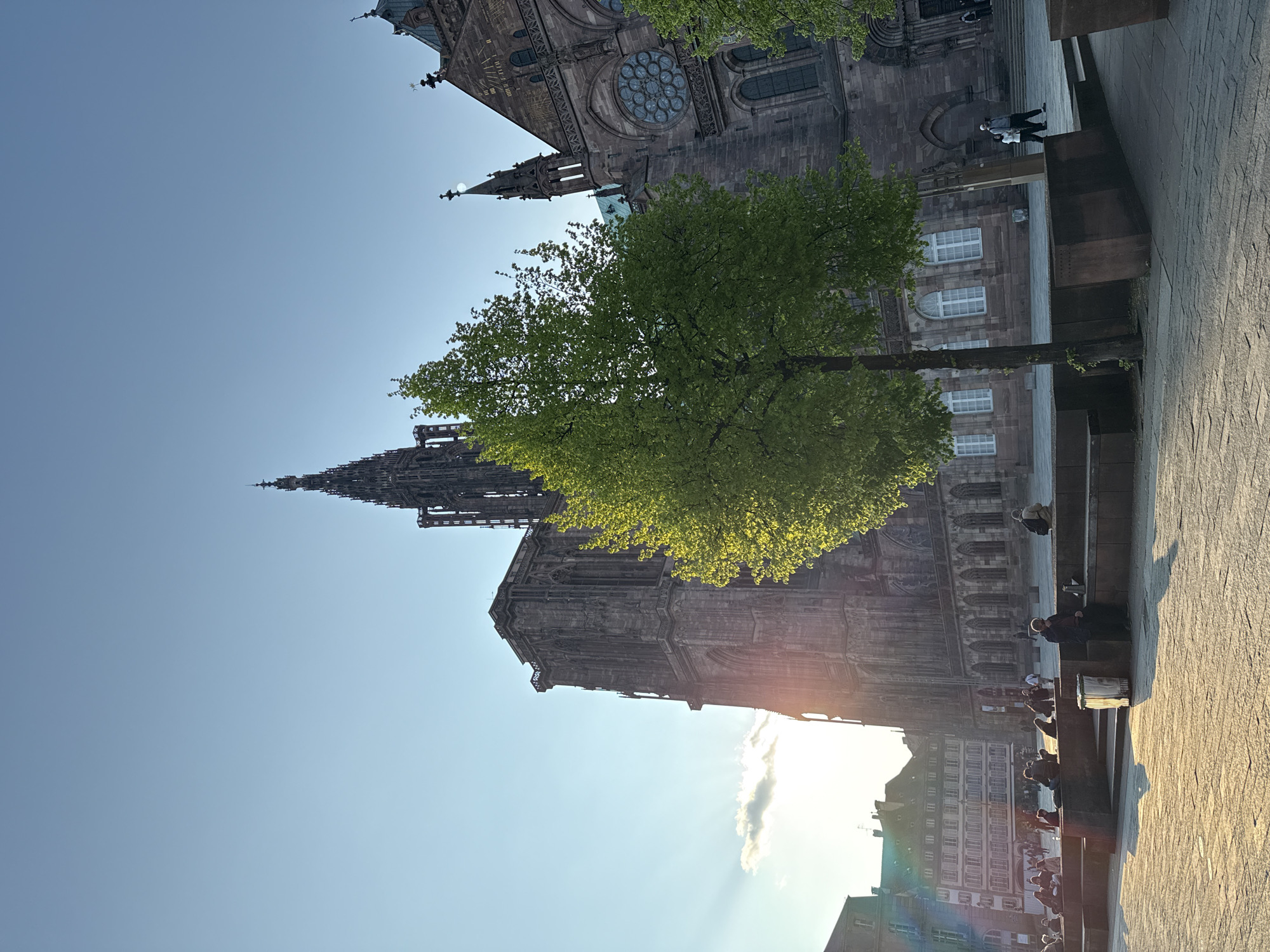 This image captures the Strasbourg Cathedral, a towering Gothic structure, framed by a tree with vibrant green foliage. The cathedral's intricate facade is visible, with its spire reaching towards the clear blue sky. Rays of sunlight peek through the buildings, indicating the time of day.
In the foreground, a paved area is visible with people sitting and walking near the cathedral. The buildings along the square also feature classical architectural elements. The entire scene evokes the atmosphere of a historic European city.