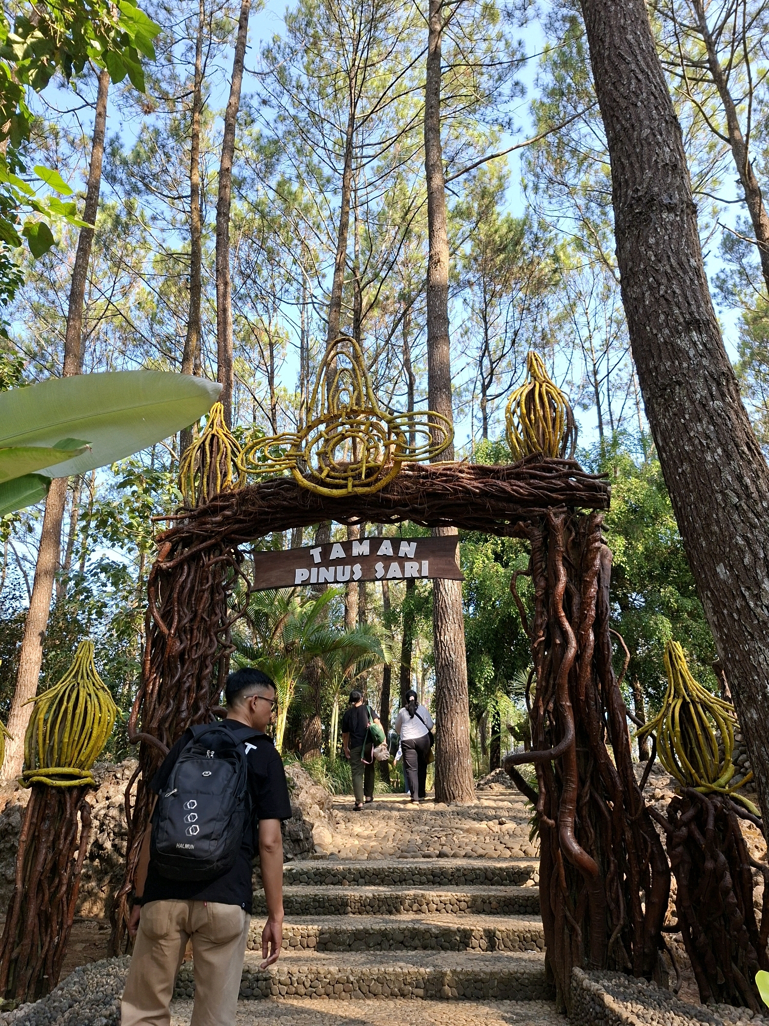 A man with a black backpack walks up a stone pathway towards a wooden archway with intricate root-like decorations and yellow, abstract sculptures. He is wearing a black t-shirt and tan pants. Behind him, two other individuals are also walking up the pathway, further into a wooded area with tall pine trees. A sign on the archway reads "TAMAN PINUS SARI." The scene appears to be a park or tourist attraction.