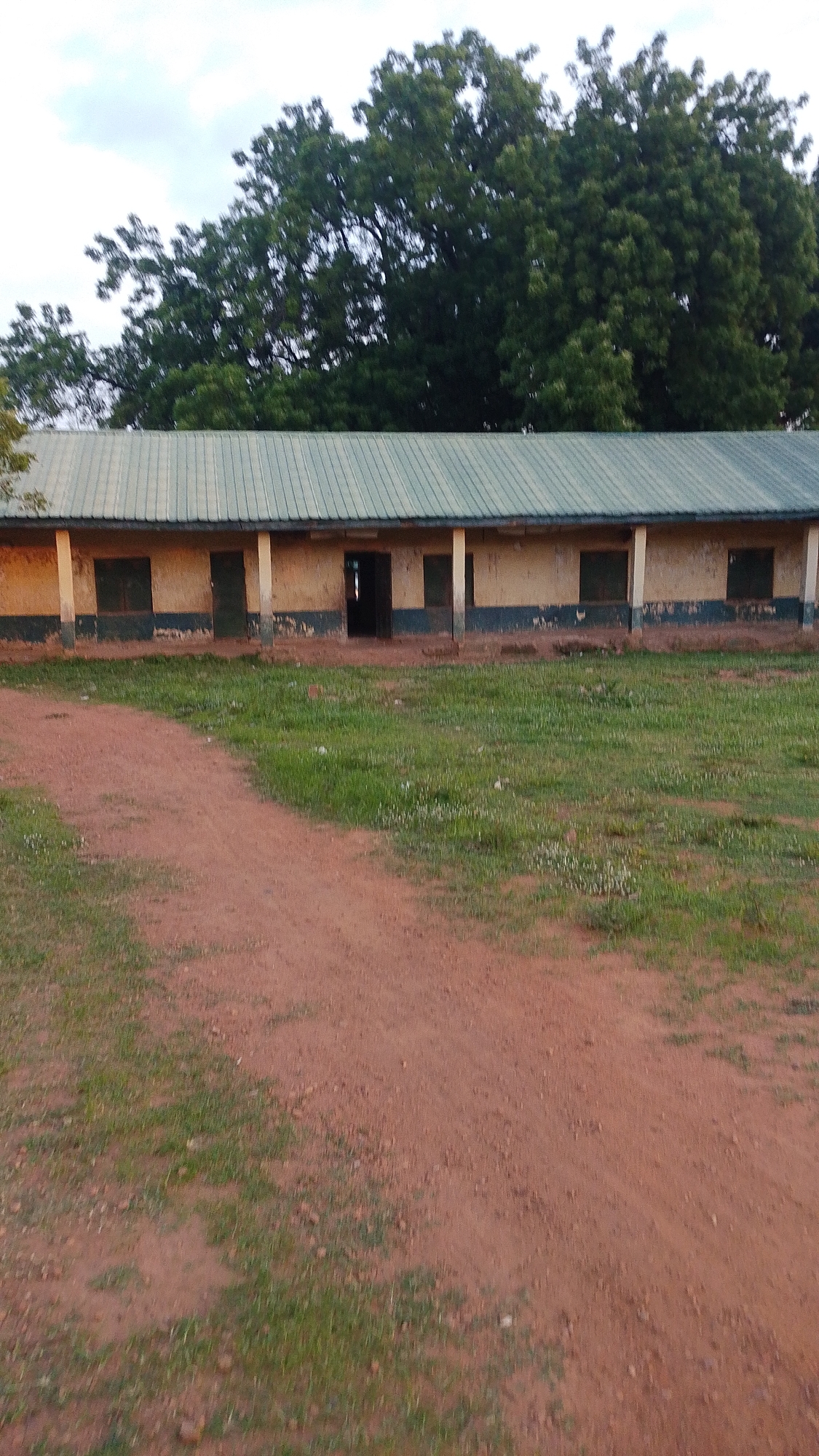The image depicts a long, single-story building with a green, corrugated metal roof. The walls of the building are a pale yellow, with a dark blue stripe running along the lower half. There are multiple windows and doorways visible along the facade. The building appears to be in a state of disrepair, with peeling paint and some visible cracks.
In front of the building is a grassy area, interspersed with a dirt path that curves from the foreground towards the building. Large, leafy trees are visible behind the building, suggesting a rural or semi-rural setting. The sky is overcast, indicating a cloudy day. The lighting suggests it is either early morning or late afternoon.
No people are visible in the image, nor are there any specific objects or activities taking place. The scene is static and appears to be an exterior view of a school or a similar institutional building. There is no visible text in the image. Given the location context of Donga, Nigeria, the building likely serves a community purpose in that region.