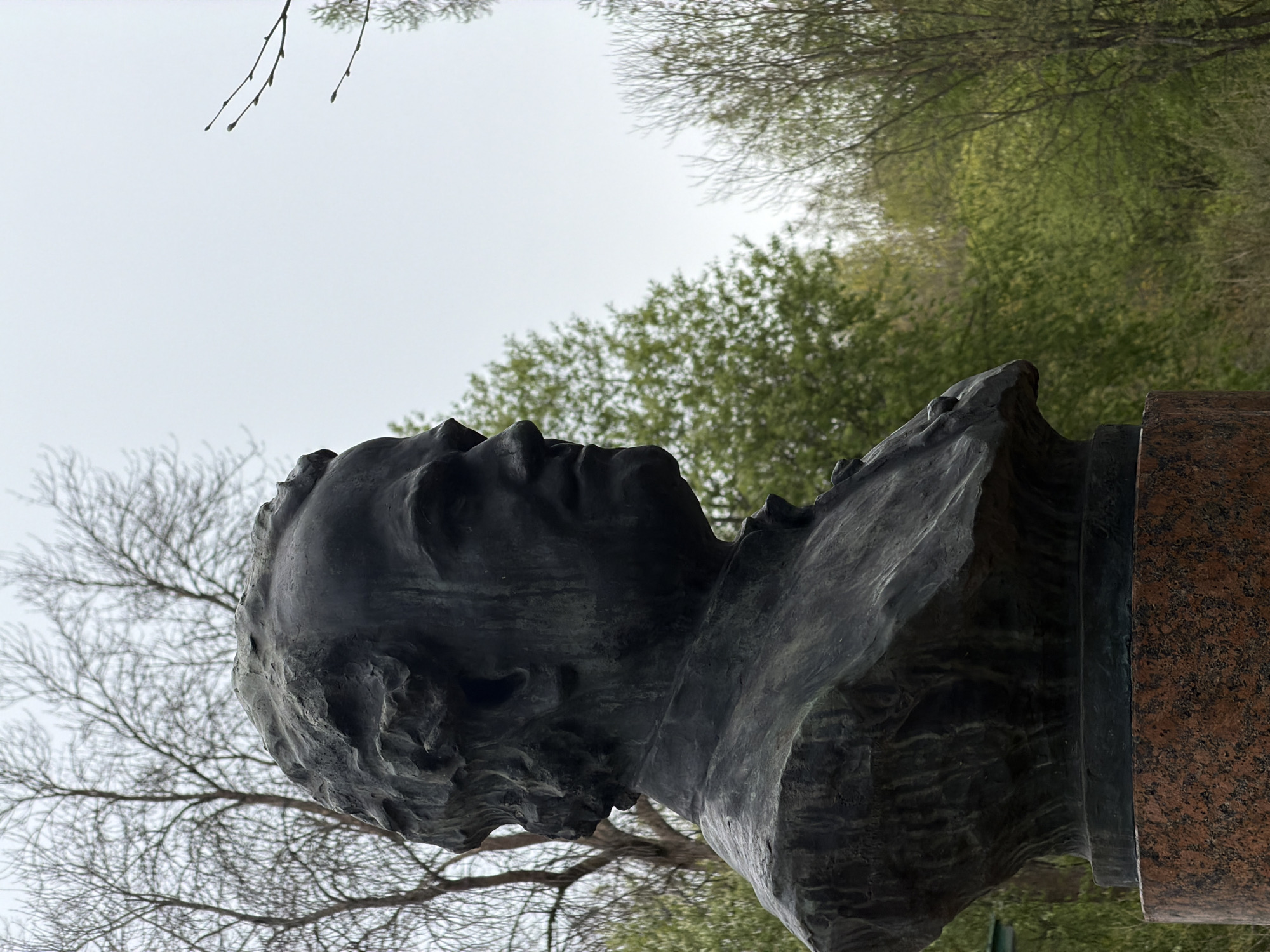 The image shows a bronze bust of a man on a red granite pedestal. The bust is of a European male with short hair, a strong nose, and slightly parted lips. The statue is facing upward and to the left of the frame. The bust is situated outdoors, with bare tree branches and green trees forming the backdrop. The sky is overcast. The location is most likely a park in Tokkari, Russia.