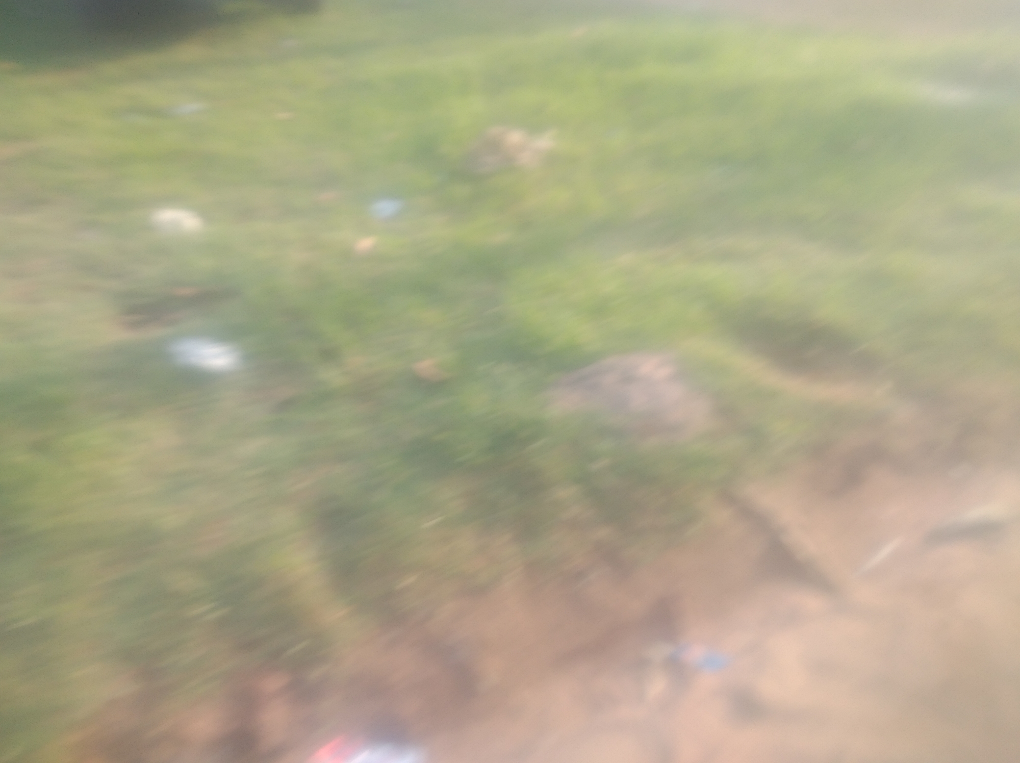 The image is a highly blurred aerial or ground-level shot of a grassy area with patches of brown dirt. Several small, indistinct objects are scattered across the grass, appearing as white or light-colored smudges. The motion blur suggests the image was taken while the camera was in motion, possibly from a vehicle or during a rapid pan. The lighting is bright, indicating it is daytime, and a hazy quality is present, possibly due to atmospheric conditions or the camera's lens. The overall scene is an outdoor environment, likely a park, field, or undeveloped land within the city of Jalingo, Nigeria. No specific landmarks or identifying features of Jalingo are discernible due to the extreme blur.