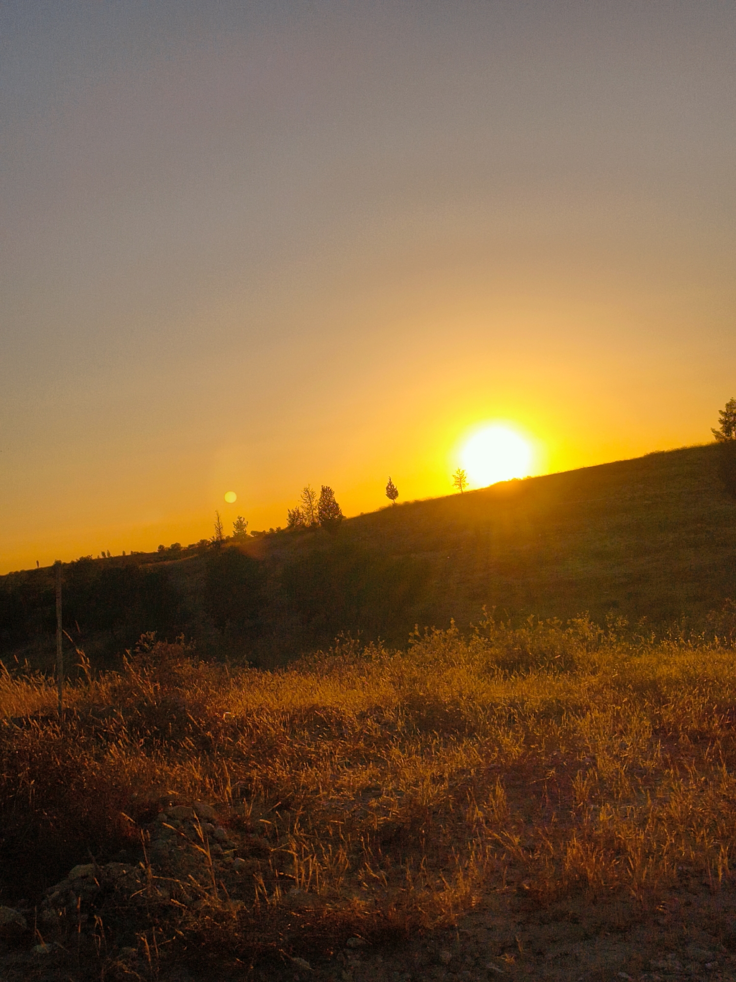 A wide shot captures a sunset over a grassy hill in Be'er-Sheva, Israel. The sun, a bright orb of yellow and white, is low on the horizon, casting a warm glow across the sky and landscape. The sky transitions from a pale blue at the top to a vibrant orange as it nears the sun. The hill is covered in dry, golden-brown grass, illuminated by the setting sun. A few scattered trees dot the slope of the hill, silhouetted against the bright sky. In the foreground, the dry grass is more densely packed, with some small stones and dirt visible. The overall impression is one of natural beauty and tranquility as day turns to night.