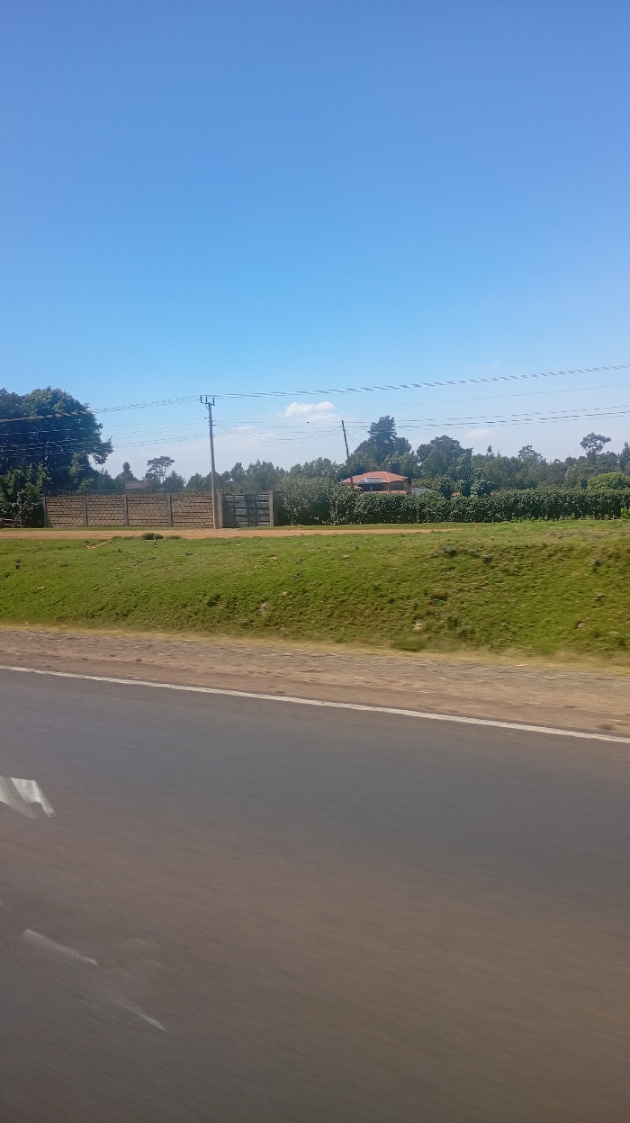 A roadside view under a clear blue sky features a stretch of asphalt in the foreground. Adjacent to the road, a grassy embankment leads up to a property enclosed by a brick wall and gate. Behind the enclosure, a landscape of trees and vegetation obscures much of a building with a reddish roof. Utility poles and wires run parallel to the road, cutting across the sky.