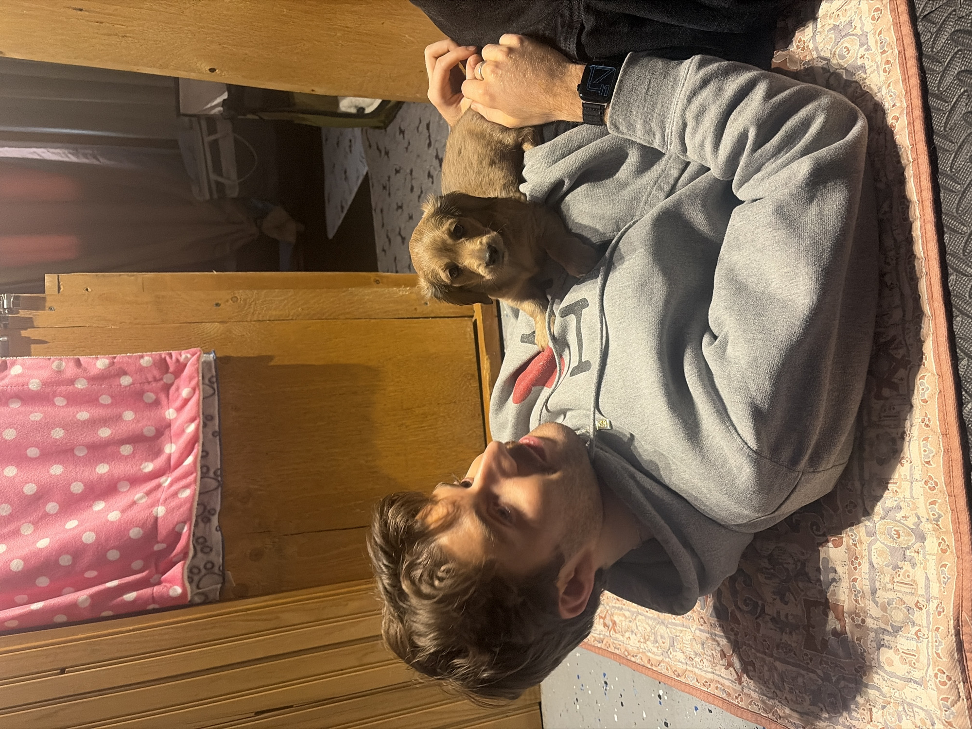 A man is lying on his back on a patterned rug indoors, cradling a brown puppy on his chest. The man is wearing a gray hoodie, and a black smartwatch is visible on his left wrist. The puppy is resting its head on the man's chest. A pink and white polka-dotted dog bed is visible next to the rug, attached to a wooden structure. Based on the wooden structures and general layout, the image was taken in an indoor setting in Mirabel, Canada.