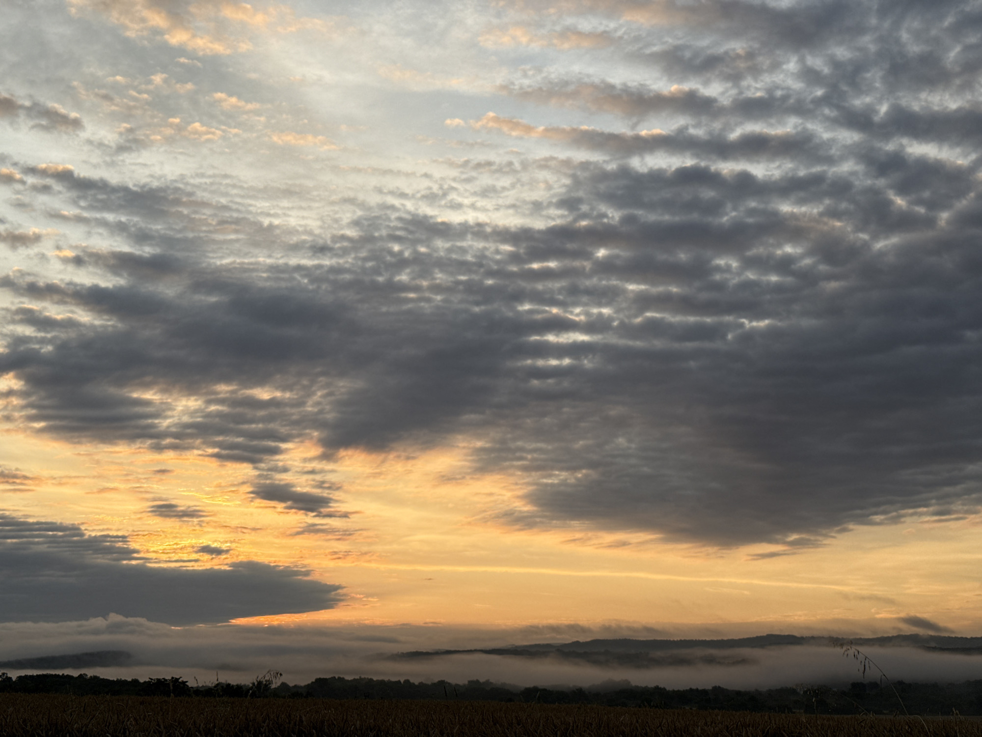 The image depicts a sunrise scene over a rural landscape. The sky is filled with a mix of gray and orange clouds, with the sun's rays creating a bright glow near the horizon. A layer of fog or mist hovers over the rolling hills in the distance, partially obscuring the treeline. In the foreground, there is a dark field, possibly of crops, with some tall grass or stalks visible. The overall atmosphere is serene and natural, suggesting an early morning in a non-urban setting. There are no people or specific man-made structures clearly identifiable in the image.