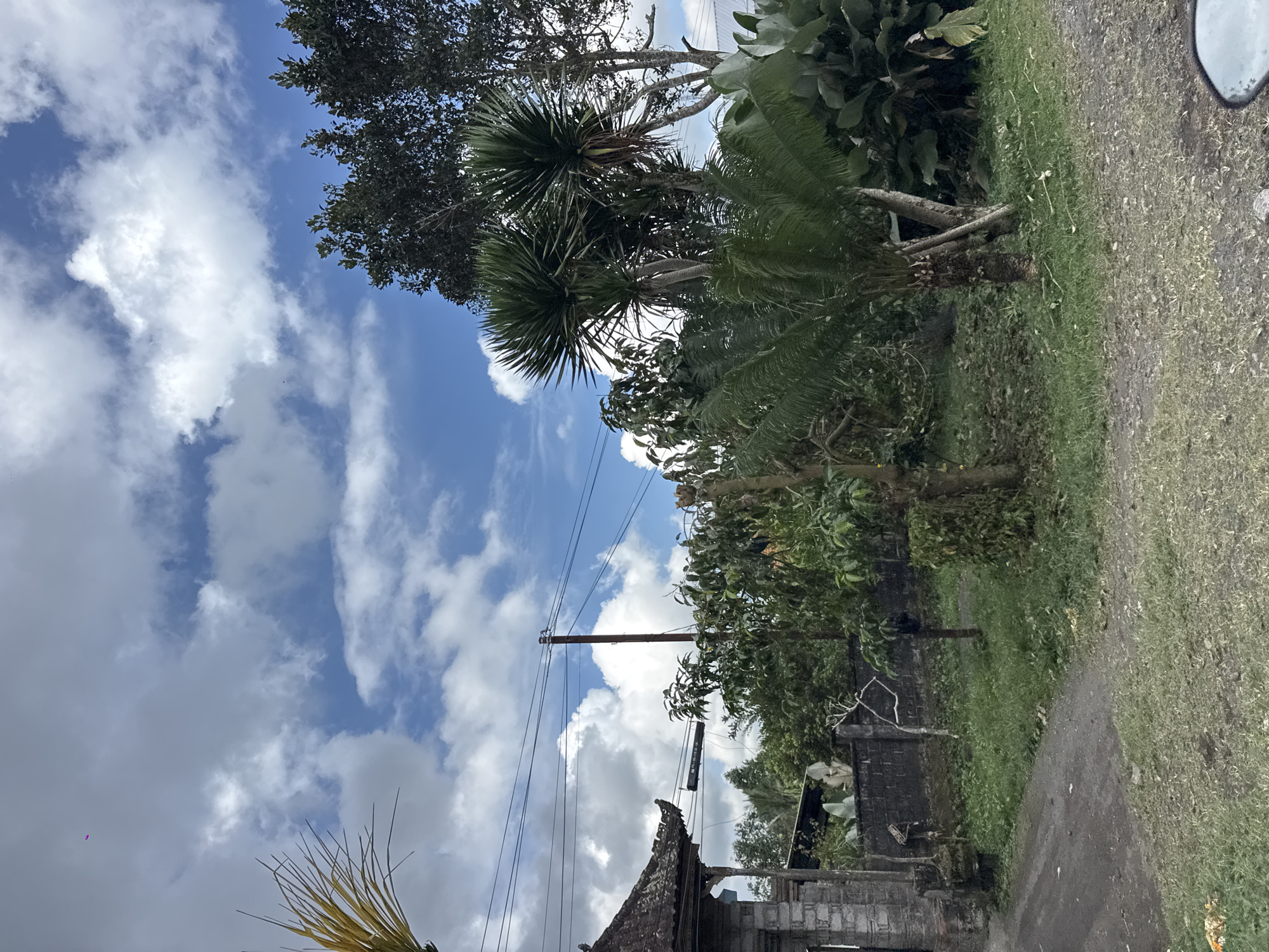 The image depicts a roadside scene in Susut, Indonesia, on a partly cloudy day. The foreground shows a gravel and asphalt road with some grass growing along the edges. A traditional Balinese gate structure made of stone and dark wood is visible on the left side of the image, with a tiled roof and intricate carvings. Beyond the gate, a dark-colored brick wall runs along the property line.
The midground is filled with lush vegetation, including several palm trees with spiky leaves, a cycad, and various other leafy plants. A wooden utility pole with multiple wires stretching across the frame stands prominently in the center, indicating the presence of electrical infrastructure. The sky above is a mix of blue and white clouds, with a hint of purple in the upper left corner, possibly a kite or a distant object. The overall impression is of a tropical environment with a mix of natural and man-made elements.