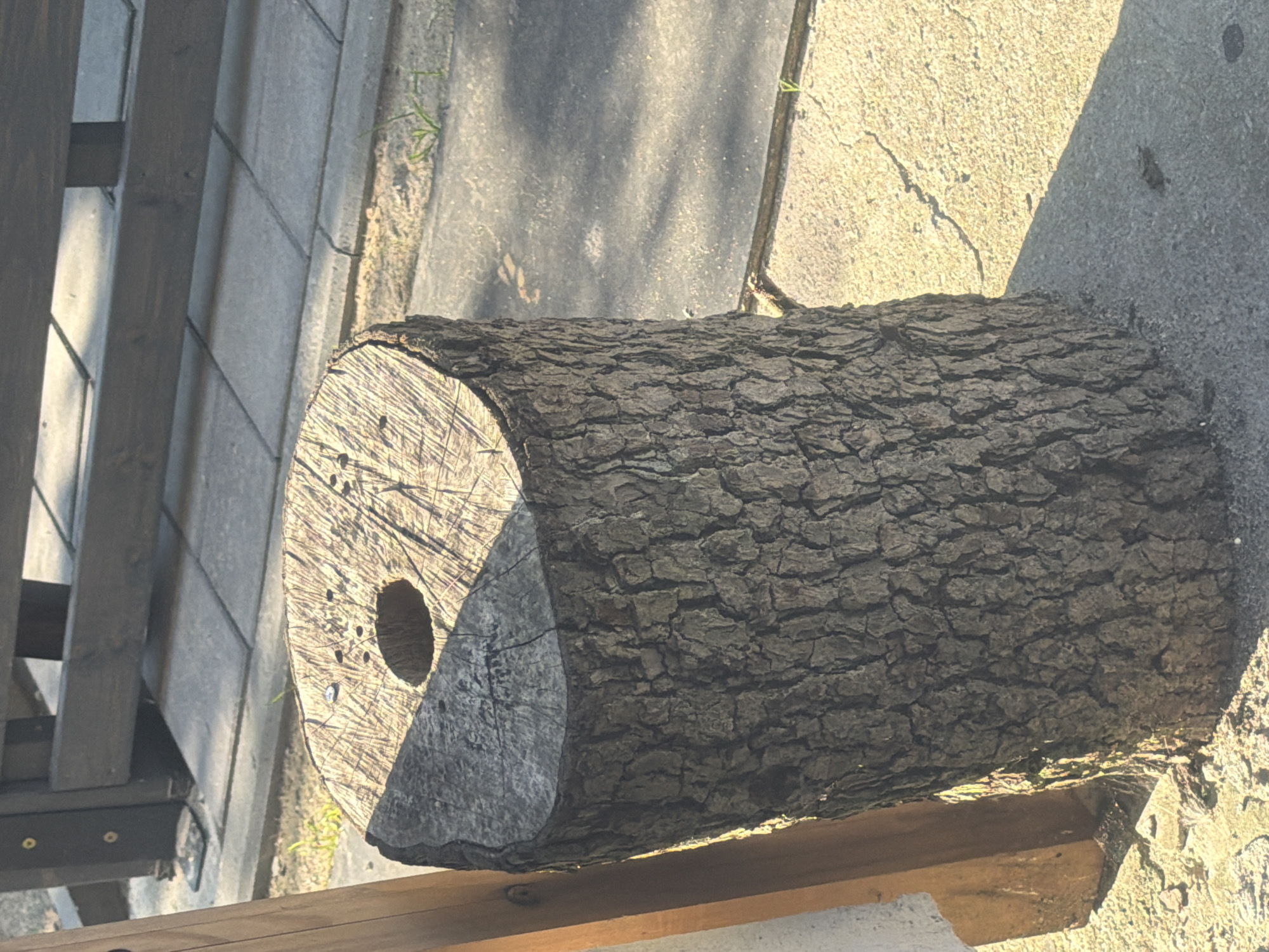 The image depicts a tree stump used as a seating element outdoors, possibly in an urban environment. The stump is cylindrical with a rough, bark-covered exterior and a flat, circular top that appears to have a hole in its center. The top surface shows visible wood grain and some indentations, potentially from nails or weathering. The stump is situated on a concrete surface, with a paved walkway or patio area visible behind it. A wooden fence or railing with dark vertical posts and horizontal beams is in the background. Sunlight casts shadows across the scene, suggesting it is daytime. The overall setting appears to be a public space or outdoor seating area. There are no people or animals present in the image. The location in Szczecin, Poland, is not identifiable from the visual elements.