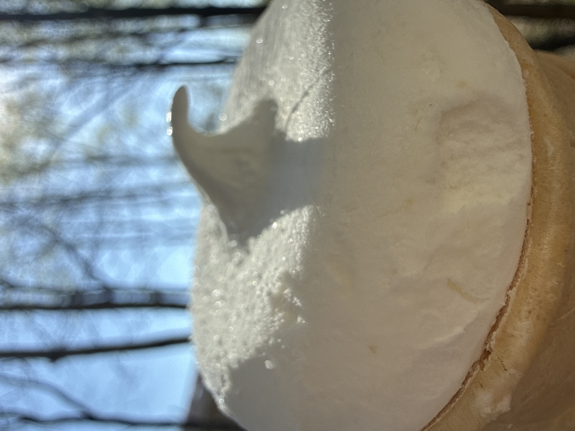 The image shows a close-up view of a cream puff or éclair, possibly outdoors, with a blurry background of tree branches. The pastry has a golden-brown shell and is filled with white cream, potentially with a slight sugary or powdery texture on the surface. The light suggests it's daytime. The scene does not provide any information relating to the location in the city of Dmitrov, Russia, nor does it present any information about people, actions, or interactions.