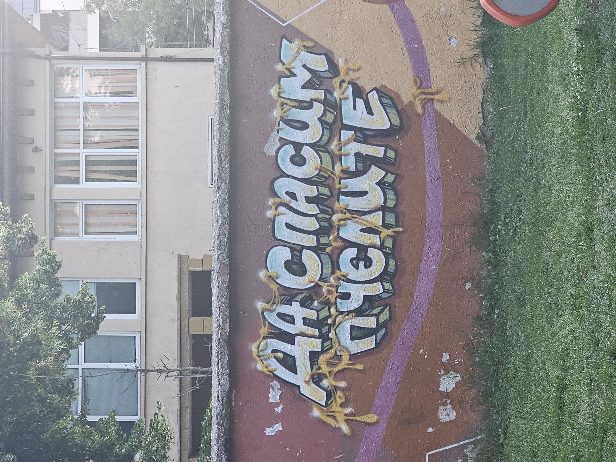 The image depicts graffiti on a wall. The graffiti is in Cyrillic script and reads "ДА СПАСИМ ПЧЕЛИТЕ," which translates to "LET'S SAVE THE BEES." The letters are large, bold, and outlined in dark gray, with a gradient of light blue and yellow fill. Yellow, drippy lines are artfully placed around the text, resembling honey or nectar. The wall itself is painted with a brown and purple striped pattern behind the graffiti, and shows signs of wear and tear with chipped paint. In the background, a building with windows is visible, and the foreground is covered with green grass. The scene appears to be outdoors in an urban or suburban setting.