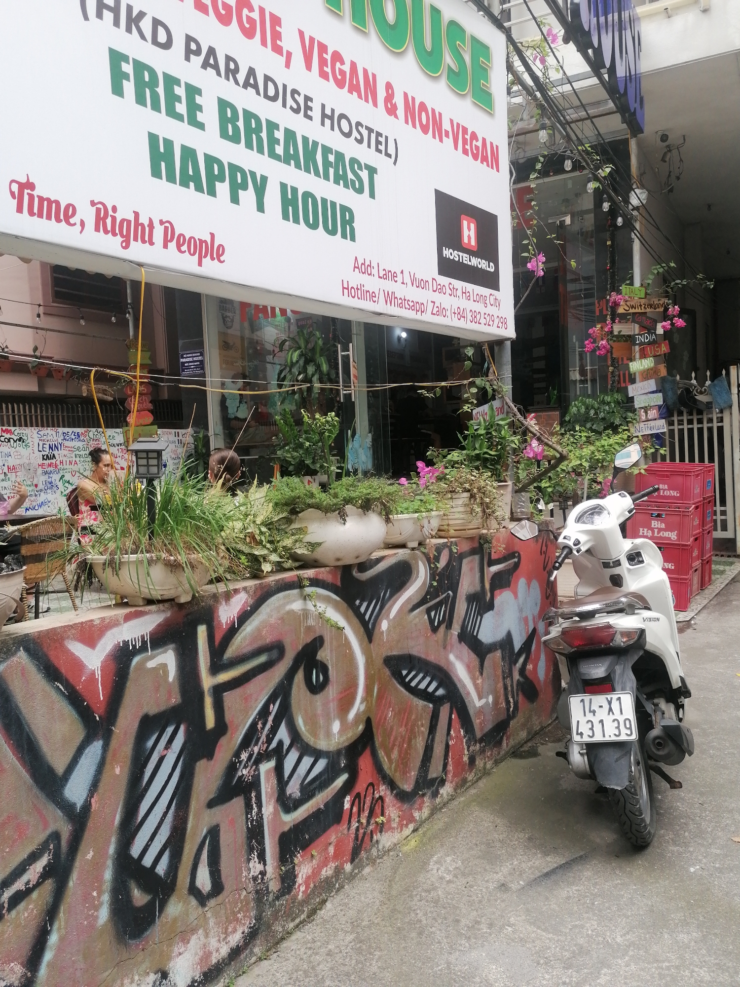 The image presents a vibrant street scene outside the "Paradise Hostel" in Bai Chay Ward, Ha Long City, Vietnam, during daylight. A prominent white sign above advertises the hostel, proclaiming "VEGGIE, VEGAN & NON-VEGAN" options, "FREE BREAKFAST," and "HAPPY HOUR," alongside the slogan "Time, Right People." The sign also displays the "HOSTELWORLD" logo and provides the address "Lane 1, Vuon Dao Str, Ha Long City" and contact details including a Vietnamese phone number (+84).
Below the sign, a low wall is adorned with colorful graffiti in shades of red, brown, black, and white. Along the top of this wall, numerous potted plants with green foliage and some pink flowers create a natural barrier. Two individuals are partially visible on the left, amidst the plants; one is seated at a wicker table, while another person's back is seen, suggesting a relaxed, social setting. Behind them, a wall is covered in handwritten messages and names from past visitors, such as "LENNY," "KAIA," and "MICHAEL."
To the right, a white Honda Vision scooter is parked, displaying a Vietnamese license plate "14-X1 431.39," which is characteristic of Quang Ninh province where Ha Long City is located. Behind the scooter, a stack of red plastic crates is visible, labeled "BIA HA LONG," further rooting the scene in its Vietnamese context. A wooden signpost on the right points to various international locations like "ITALY," "Switzerland," "INDIA," and "USA," indicating the hostel's global appeal. The overall scene conveys a lively, welcoming atmosphere.
