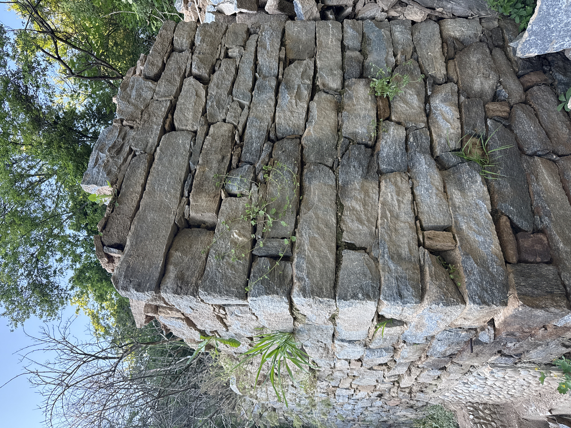 The image depicts a stone wall in Byal Izvor, Bulgaria. The wall is constructed of irregularly shaped, gray stones stacked vertically. Small plants and grass grow from crevices within the wall. The wall is partially shaded by trees in the background, with a glimpse of blue sky. A cobblestone path or area is visible near the base of the wall, and some bare branches of a tree are in the foreground.