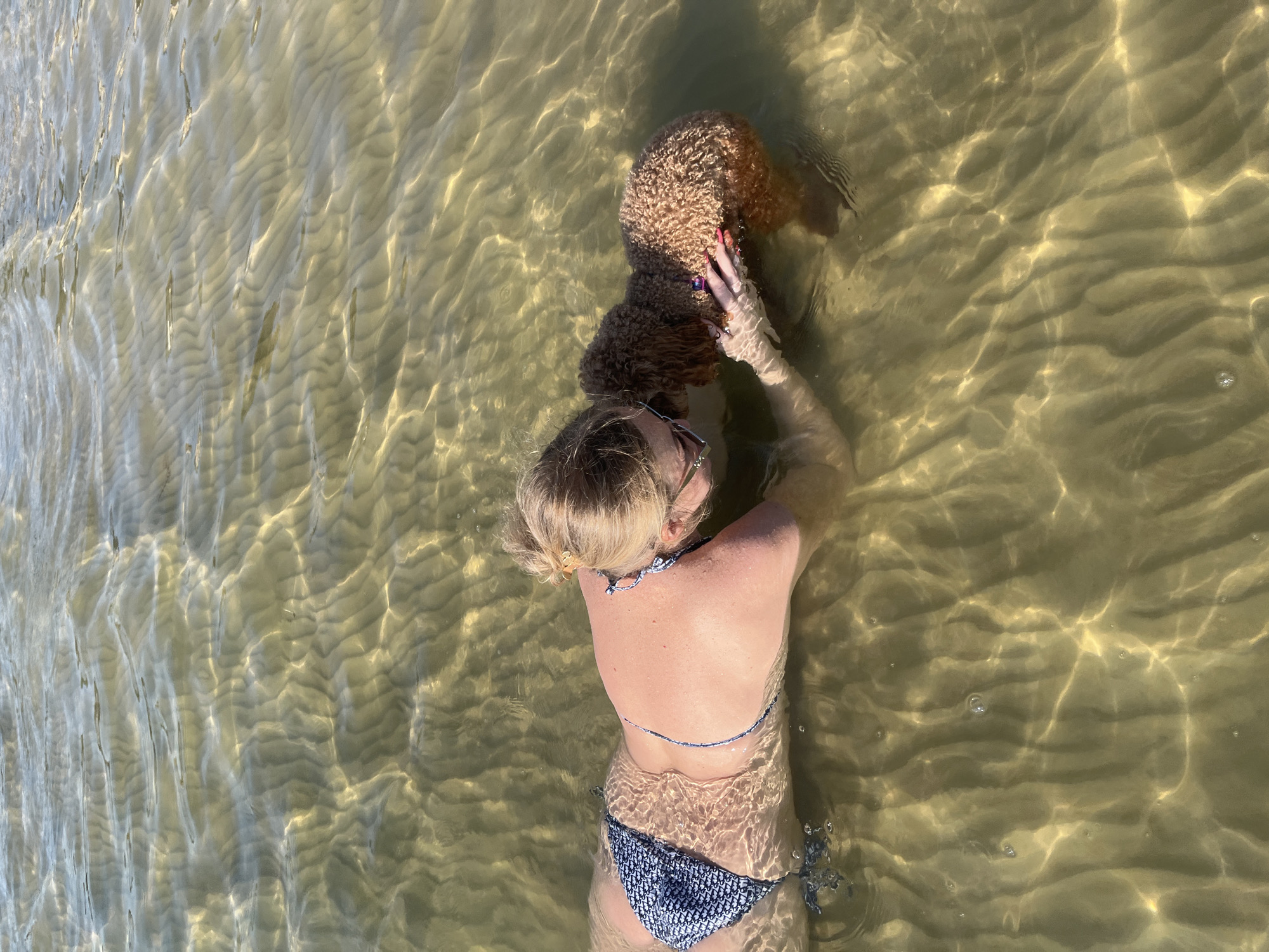 The image depicts a woman and a dog in shallow water. The woman, viewed from above, is lying on her back with her head turned to the side, interacting with the dog. She is wearing a blue and white patterned bikini. Her blonde hair is pulled back, and she has sunglasses on her head. The dog, which appears to be a golden poodle mix, is in front of her, with its head partially submerged in the water. The woman has her left hand resting on the dog's head.
The scene is set in a body of water, likely a lake or the sea, with sandy ripples visible on the bottom. Sunlight is filtering through the water, creating dappled patterns on the sand. The water is clear and appears to be warm. The overall mood is one of relaxation and enjoyment of a summer day. The context provided places the location as Yelyzavetivka, Ukraine. The time of day appears to be daytime, given the strong sunlight. There is no visible text in the image.