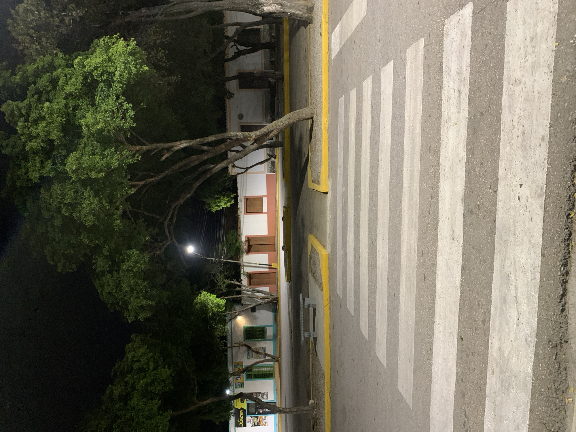 This nocturnal image captures a quiet street scene in Santa Ana, Venezuela. The foreground is dominated by a pedestrian zebra crossing, featuring wide white stripes on a dark asphalt road. A bright yellow curb separates the road from a sidewalk lined with several trees characterized by their dark, gnarled branches and lush green foliage.
Along the left side of the frame, behind the trees, a row of buildings is visible. These structures exhibit traditional architectural elements, with painted facades and distinct window frames. One building features a white facade accented with reddish-brown trim around its windows and roofline. Further along, another building displays a lighter blue base with green-framed windows, beneath which some signage and artwork can be partially seen.
Streetlights illuminate the scene, casting a glow on the foliage and buildings, while the sky above is dark. A grey stone bench is positioned on the sidewalk near the yellow curb. No people or vehicles are visible, contributing to a tranquil and still atmosphere. Partially visible text, "DUNCAN," is discernible on a sign near the bottom left corner of the image. The clear night and artificial lighting highlight the textures of the road, trees, and building facades.