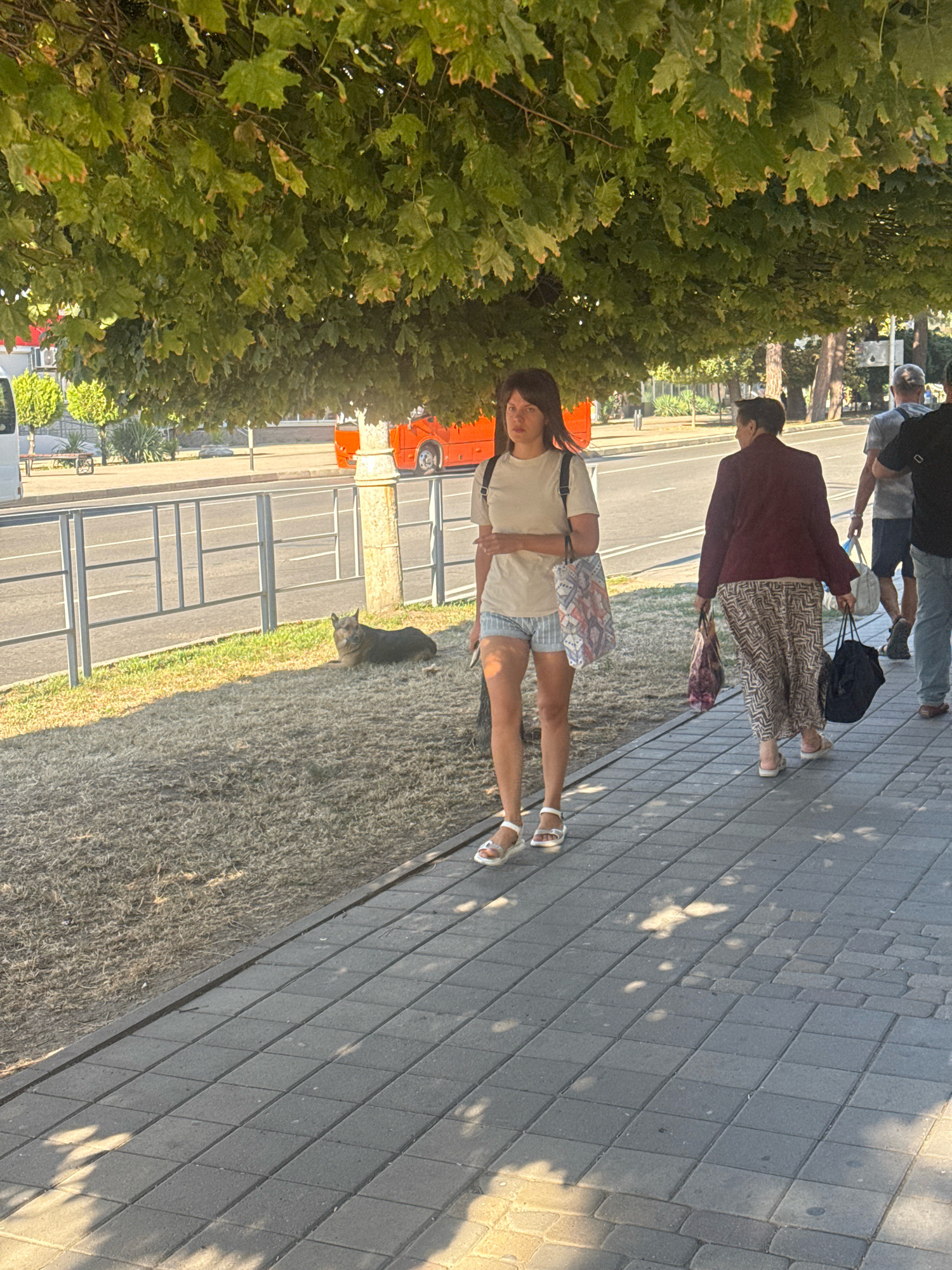 In the city of Anapa, Russia, on a sunny day, a woman with dark hair walks along a paved sidewalk under the shade of a large tree with green leaves. She is wearing a light-colored t-shirt, blue striped shorts, and white sandals, carrying a patterned tote bag over her shoulder. Behind her, another woman in a burgundy jacket and a patterned skirt walks with two shopping bags. Further in the background, a man in a light-colored t-shirt and dark shorts walks away from the camera, and another man in a black shirt and blue jeans is partially visible. A dark-colored dog is lying down on the grassy area beside the sidewalk, near a metal fence. An orange bus is visible on the road in the background, with other vehicles and trees lining the street. The scene captures a casual outdoor moment on a street with pedestrian and vehicle traffic.