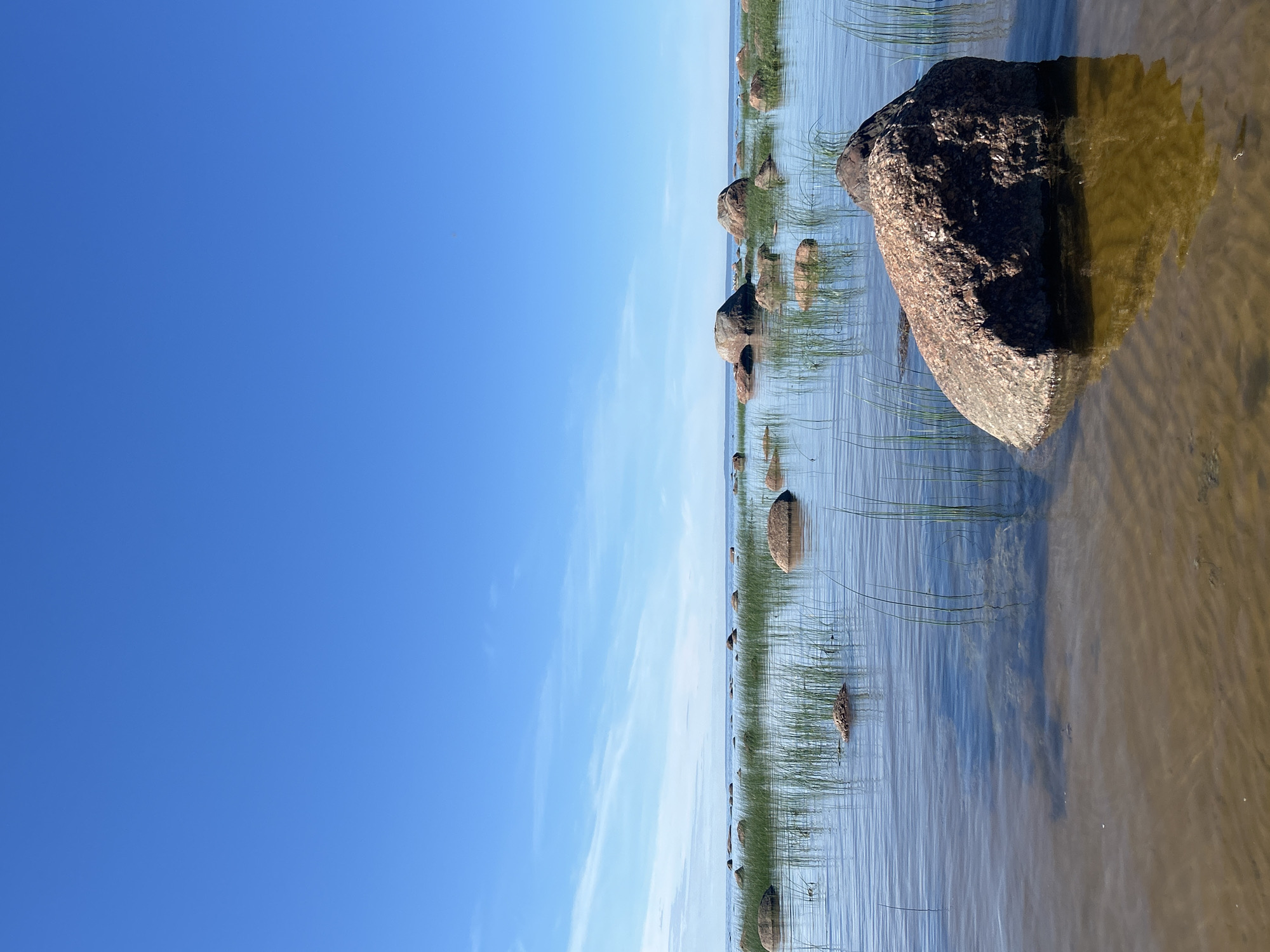 The image depicts a coastal scene with a clear blue sky and a calm body of water. The foreground features a large, rough-textured granite boulder partially submerged in shallow, sandy water. The water's surface is rippled, and the sand beneath is visible, showing a textured pattern. Thin reeds or grass blades emerge from the water around and behind the boulder. In the middle ground and background, numerous other rounded stones and boulders are scattered across the water, some of which are partially covered by the reeds. The horizon line is visible, separating the water from a distant, low-lying landmass. The overall impression is a serene, natural landscape. The location is Shepelyovo, Russia.