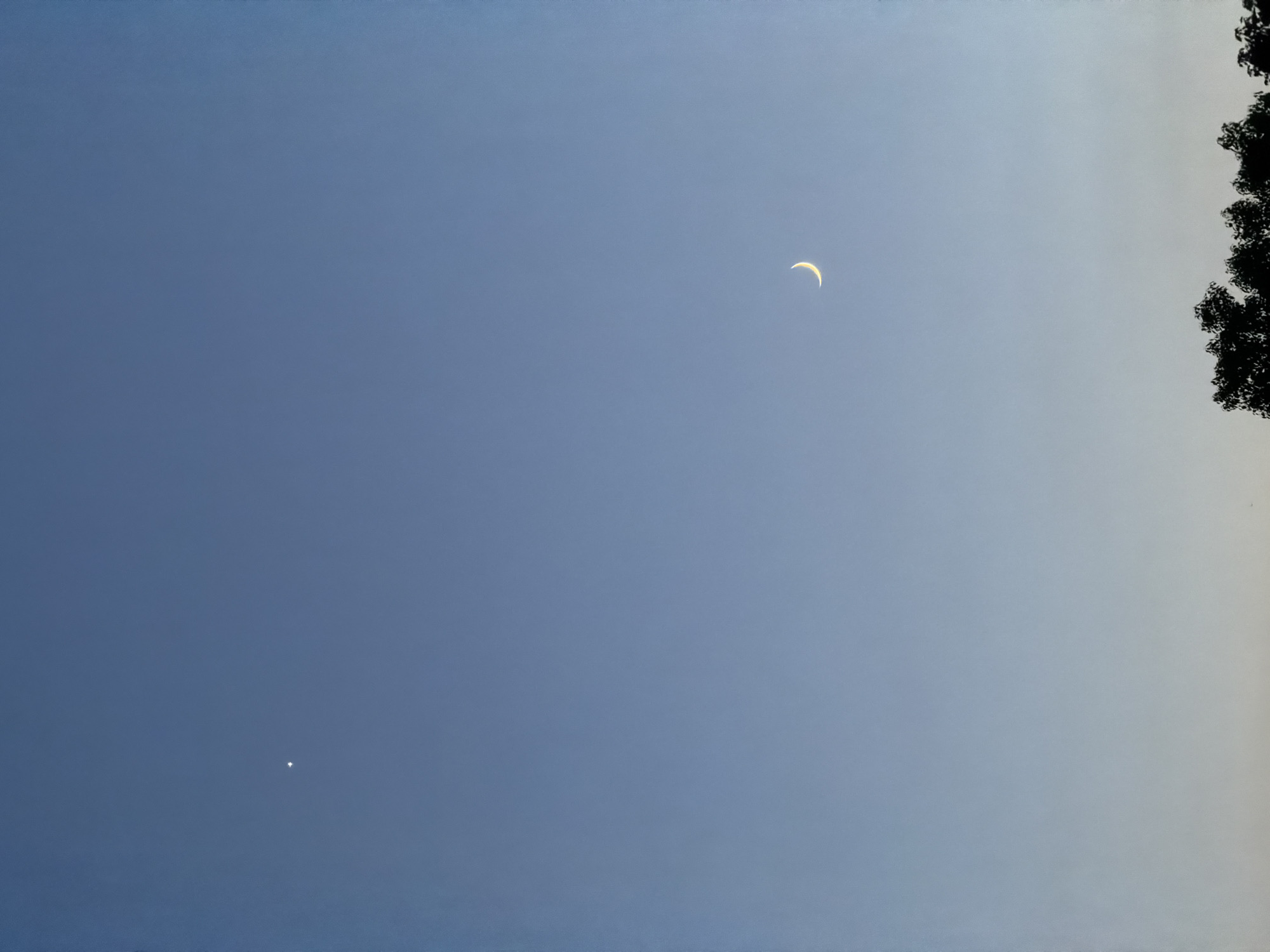 A sliver of a crescent moon is visible in the twilight sky, its luminous curve a stark contrast against the deepening blue. To the left, a single, bright star glimmers, an apparent companion in the vast expanse. The lower portion of the image is dominated by the dark, silhouetted forms of treetops, suggesting the presence of a park or a natural area within the city. The sky transitions from a pale yellow-orange near the horizon to a deep blue overhead, indicating the time is either dawn or dusk. The location is identified as Jiangjin, China.