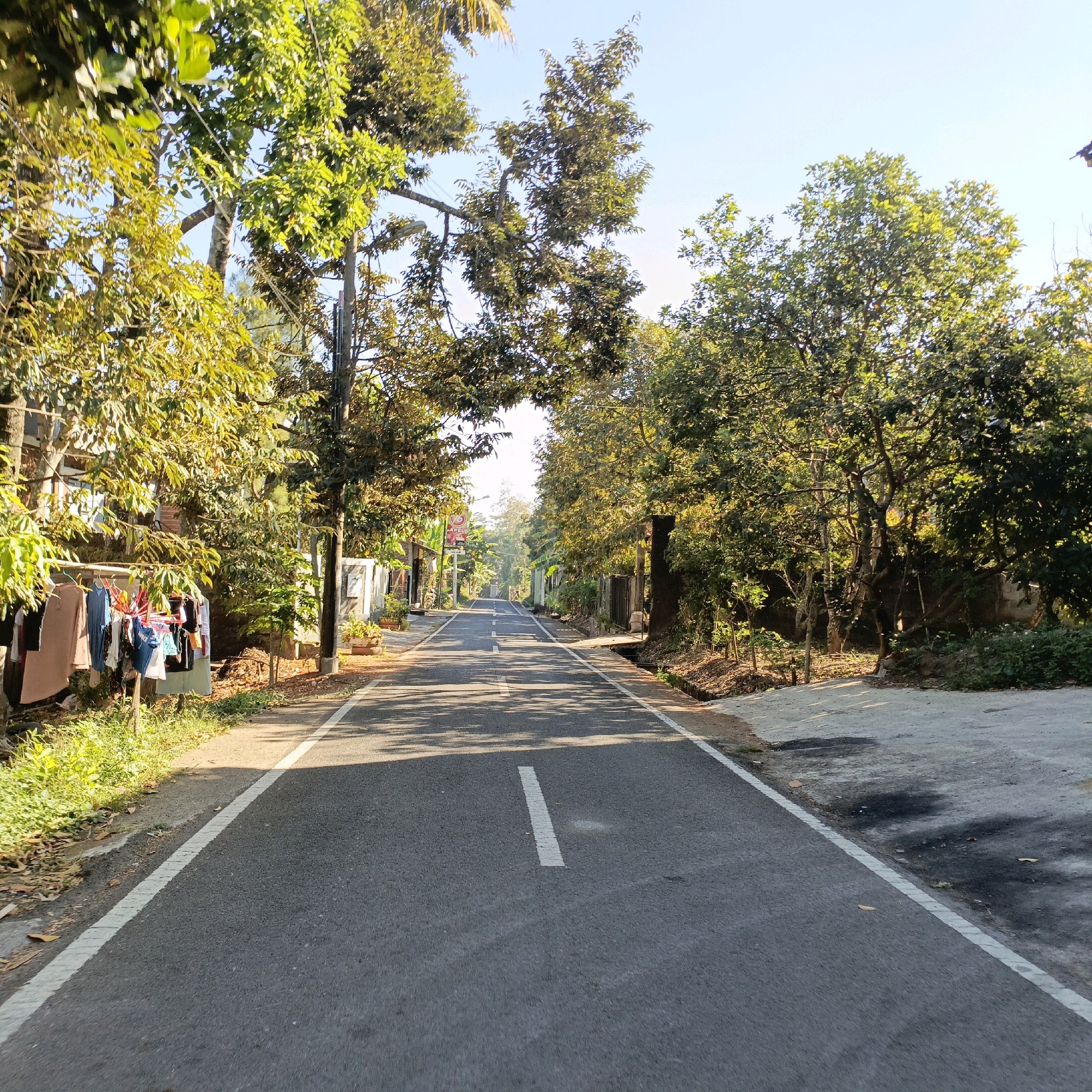 The image depicts a paved road in Salatiga, Indonesia, flanked by lush green trees and vegetation. The road has white dashed lines indicating lanes and a solid white line on the edge. On the left side of the road, clothes are hanging on a clothesline, suggesting a residential area. In the background, houses and more trees can be seen, and the sky is clear and blue. The sunlight creates shadows on the road from the trees overhead, indicating it is daytime. There are no people visible in the image.