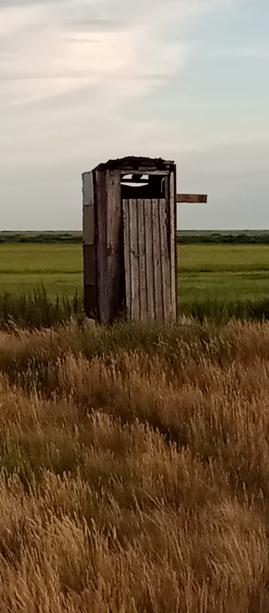 The image depicts an abandoned wooden outhouse standing in a field of tall, dry grass. The outhouse is weathered and appears to be falling apart, with missing planks and a damaged roof. A small wooden perch extends from the right side of the structure. In the background, a flat, green field stretches towards the horizon under a pale, overcast sky. The overall impression is one of desolation and neglect. The time of day appears to be either early morning or late evening, given the soft, diffused light. The location is identified as Marinovka, Kazakhstan. There are no people or animals visible in the image, and no text is present.