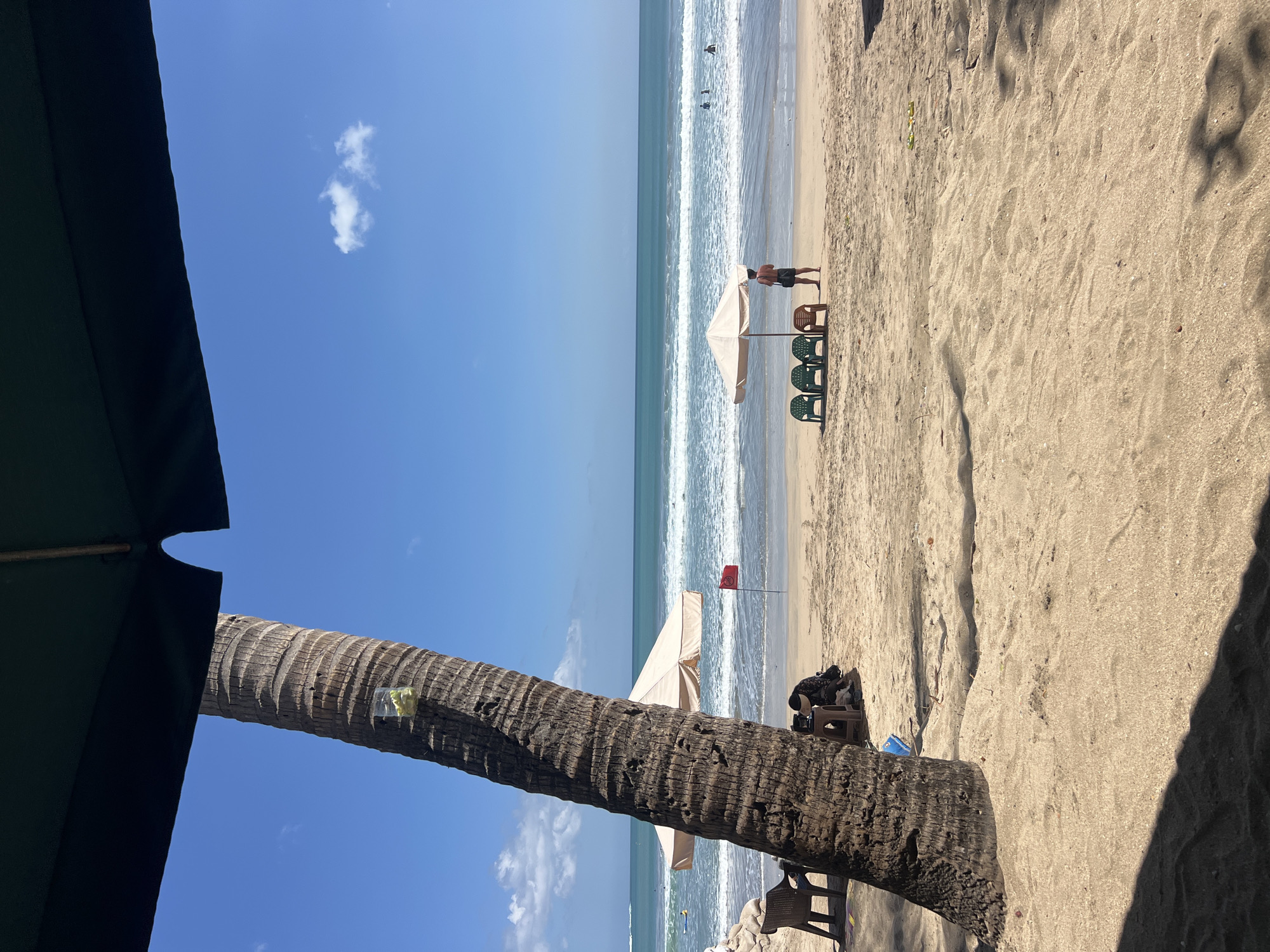 This image captures a sun-drenched scene on Kuta Beach, Bali, Indonesia. In the foreground, the textured trunk of a palm tree dominates the left side, partially shaded by a large dark green umbrella extending from the top of the frame. Scattered across the sandy beach are several plastic beach chairs, some grouped under a light-colored umbrella, with a few people present.
In the middle ground, the ocean stretches out under a clear blue sky, with gentle waves rolling towards the shore. Several individuals are visible in the water, some appearing to be swimming or wading. A red flag is planted in the sand, potentially indicating swimming conditions. Further in the distance, the horizon is marked by the meeting of the sea and sky, with a few wispy clouds.
The overall atmosphere suggests a relaxed beach day, with the natural elements of the tropical environment evident. The image is taken from a slightly elevated perspective, possibly from a seated position under the umbrella.