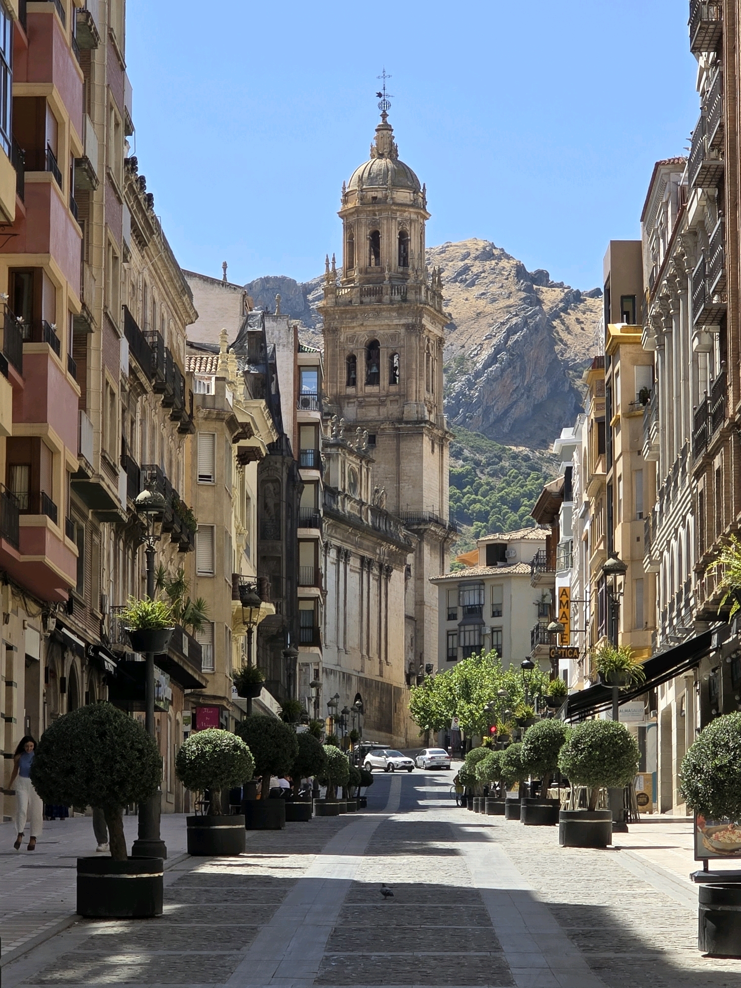In Jaén, Spain, a tree-lined street leads towards a prominent bell tower, a landmark of the city. The street is paved with cobblestones and lined with buildings featuring balconies and ornate architecture. Planters with manicured trees line the sidewalks, casting shadows on the ground. A woman in white pants and a blue top walks down the street, and several cars are parked or driving. In the background, a rocky mountain range rises against a clear blue sky.
