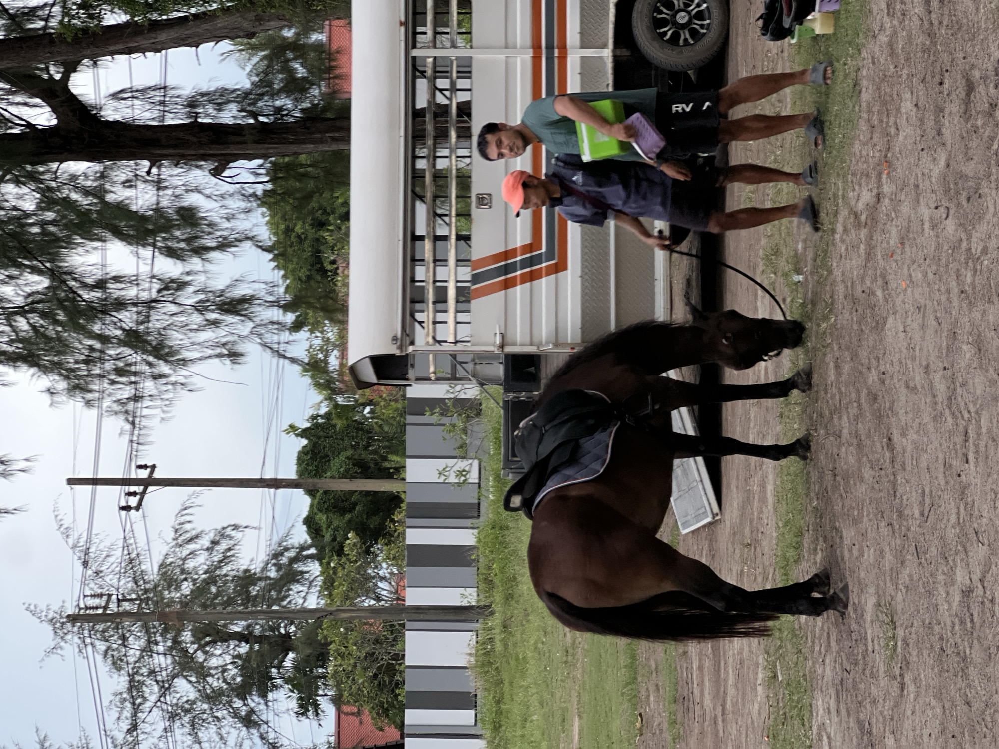 In an outdoor scene in Unknown, Unknown, a brown horse with a saddle is tethered and grazing on grass. Two men stand near the horse and a white horse trailer with orange and black stripes. The man on the left, wearing an orange cap and a dark blue shirt, holds the horse's lead rope. The man on the right, in a green shirt and black shorts, holds a green container and a purple object. The ground is dirt and grass, with a grey and black striped fence in the background and trees overhead. The sky is overcast.