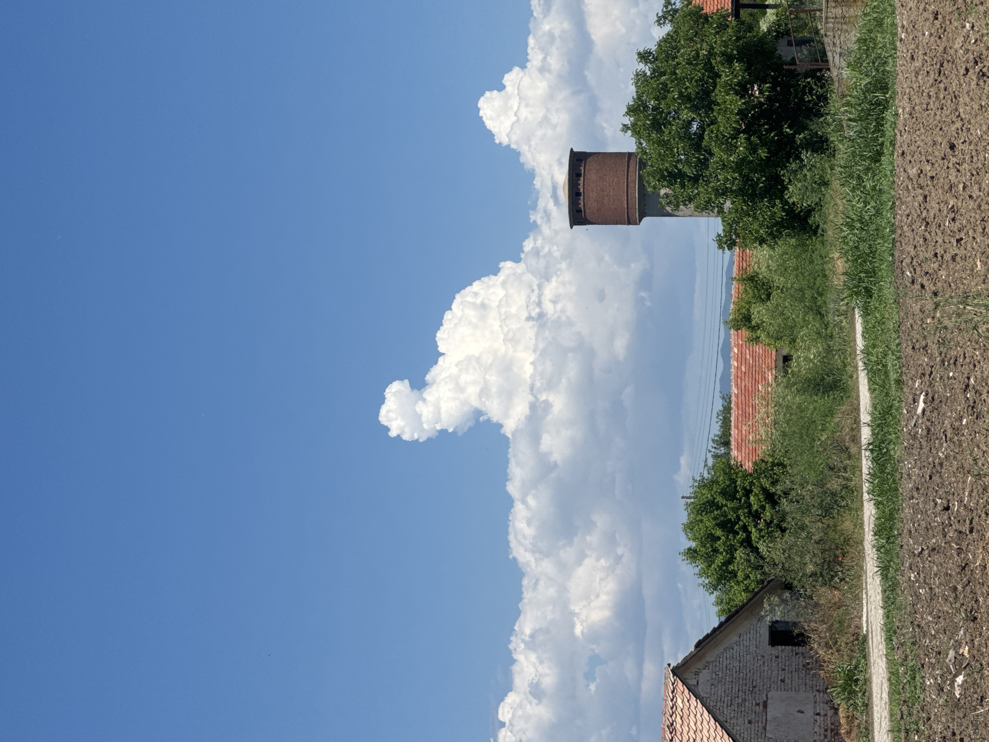 The image depicts a rural scene in Sarnevo, Bulgaria. In the foreground, plowed land and a narrow concrete pathway are visible, transitioning into vegetation including grass and trees. Beyond the trees are buildings with red tiled roofs. A tall, cylindrical water tower, constructed of brick, is partially obscured by a tree. Above the buildings and water tower, voluminous white clouds contrast with a bright blue sky.