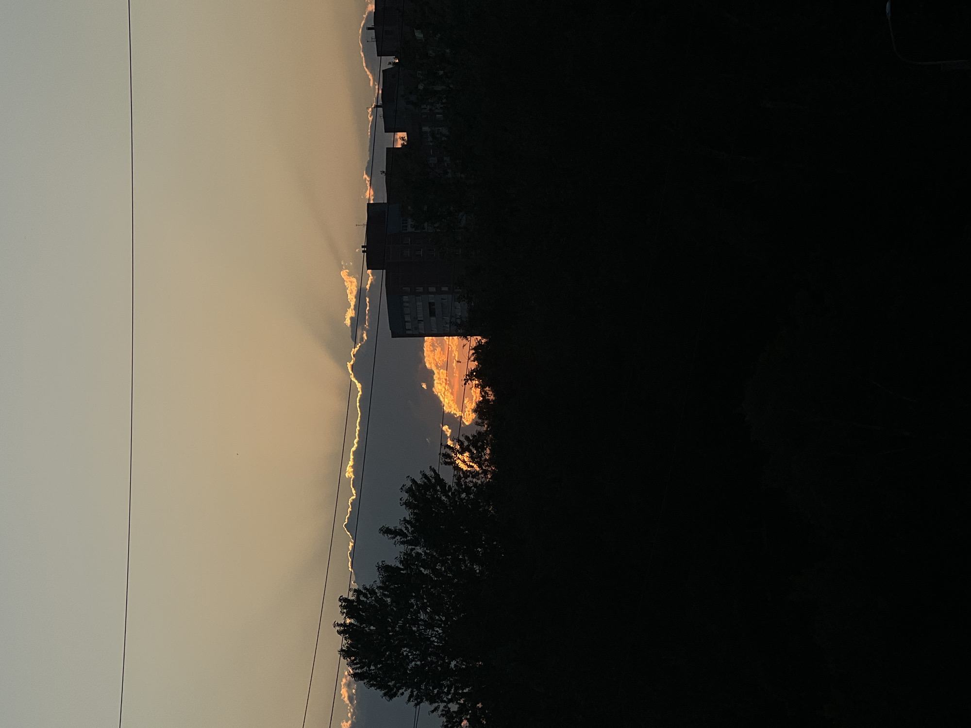 A silhouette of trees, apartment buildings, and power lines are visible against a sky with crepuscular rays. The sun is setting, illuminating clouds with orange and yellow light. The scene appears to be in Saint Petersburg, Russia, given the architecture and the characteristic light of the city during sunset.