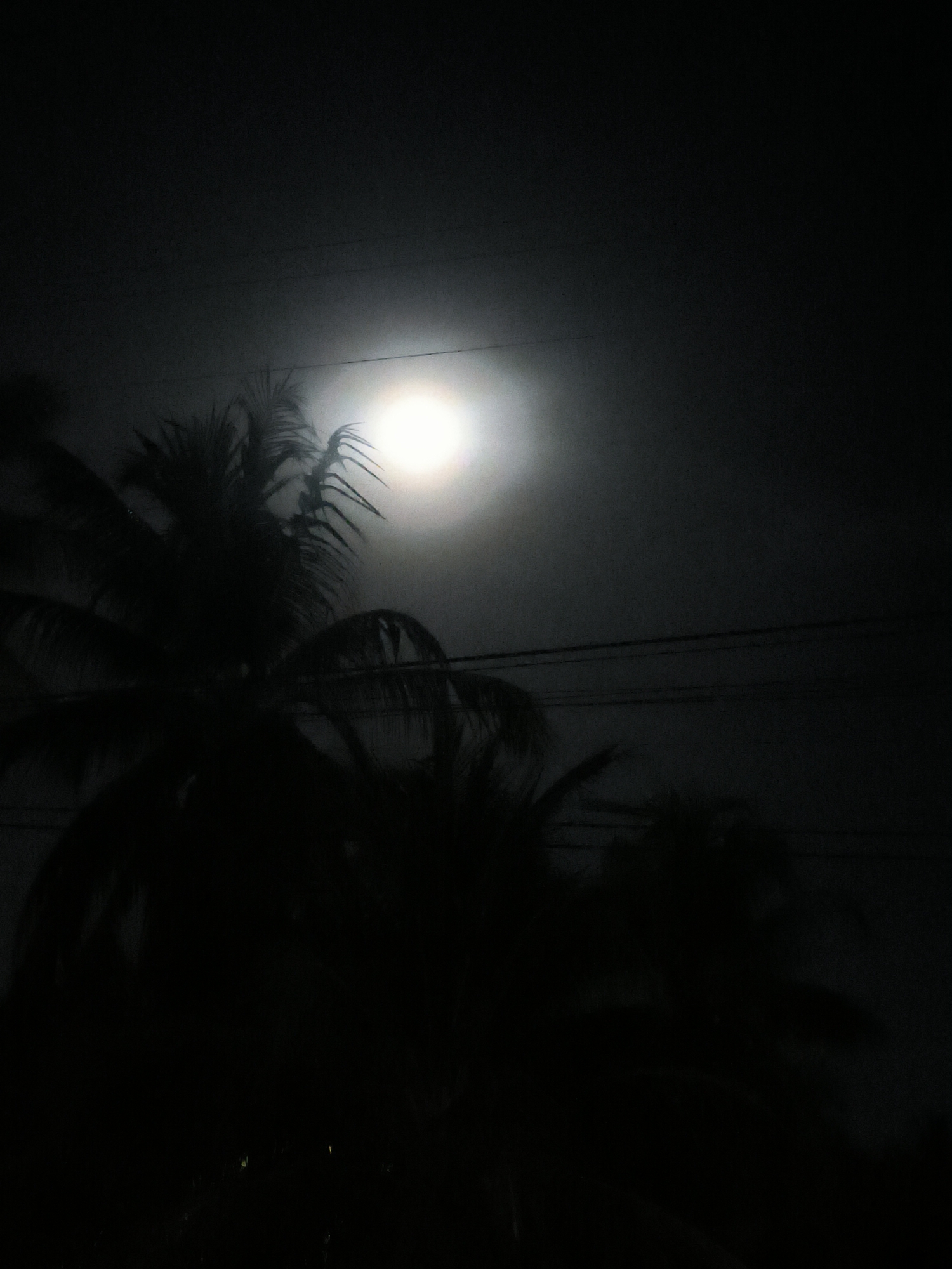 The image depicts a night scene in Merbopuntong, Indonesia. A bright, round light source is visible, likely the moon obscured by thin clouds or mist, creating a halo effect. Silhouetted palm trees dominate the lower portion of the frame. Above the trees are multiple dark, horizontal lines, possibly utility wires. The overall lighting is low, rendering most of the details in shadow.