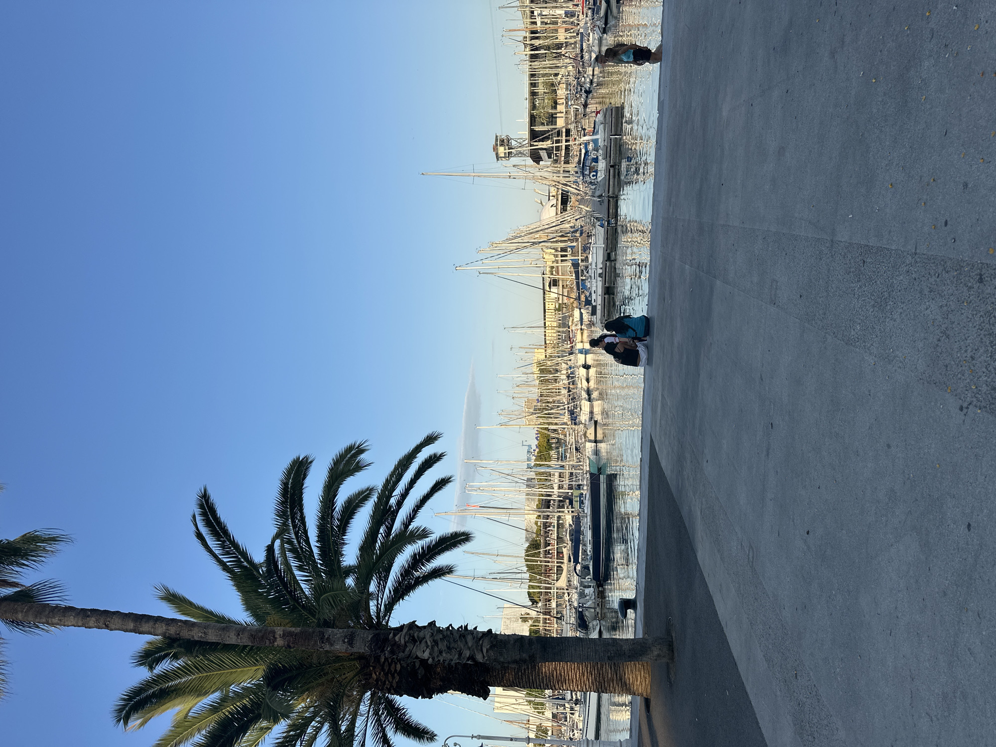 The image depicts a harbor scene in Barcelona, Spain, with numerous sailboats docked. A prominent palm tree stands on the left side of the frame, partially obscuring the view of the boats. The water is calm and reflects the masts of the sailboats. In the foreground, a paved walkway leads down to the water's edge. Several individuals are visible, some sitting on the edge of the walkway, while others are standing. The sky is clear and blue. In the background, buildings and structures can be seen behind the docked boats. The overall atmosphere suggests a serene and pleasant day at the harbor.
