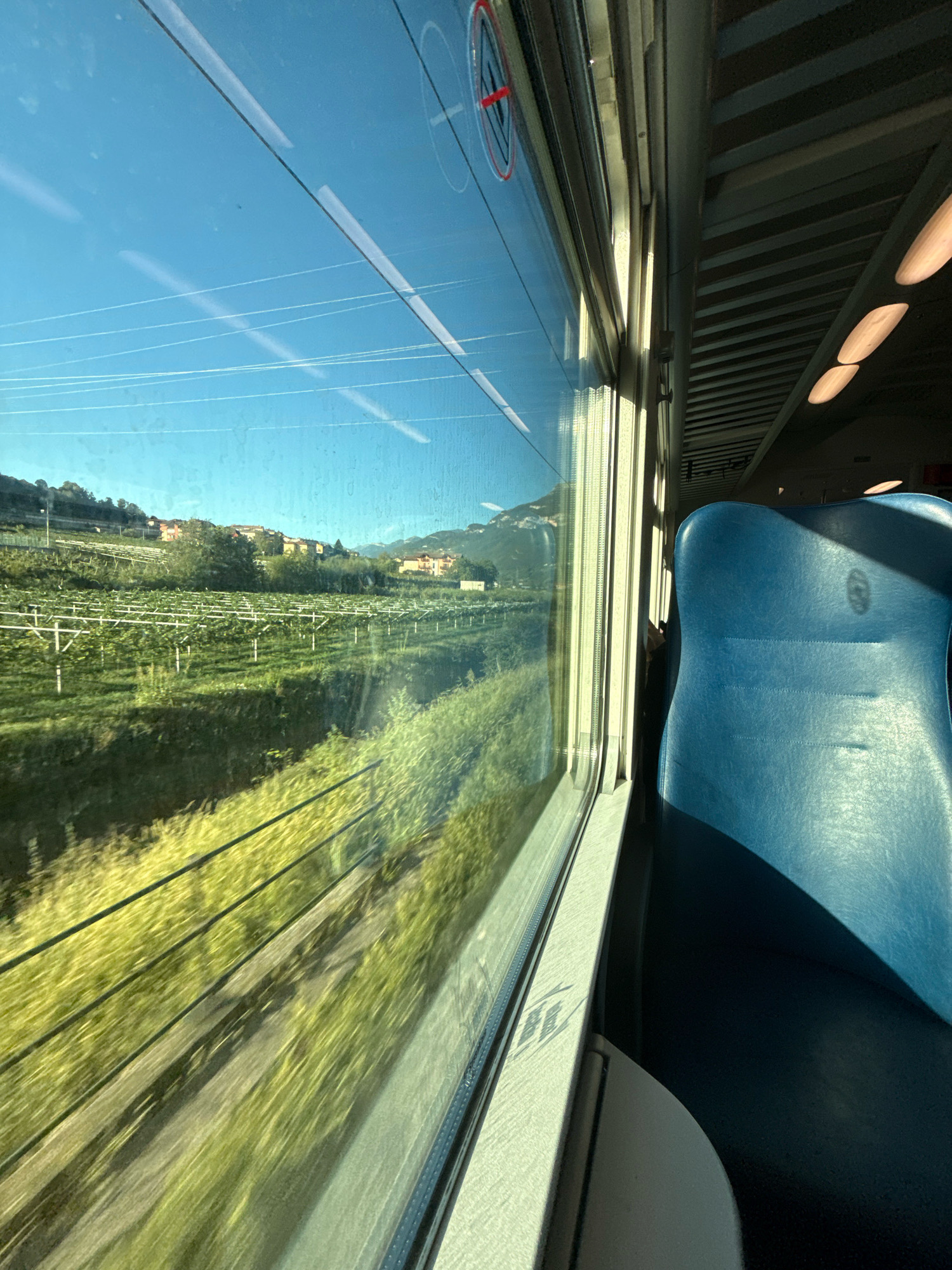 The image is taken from inside a train traveling through Nomi, Italy, as evidenced by the view of vineyards and the characteristic architecture of the region. The perspective is from a window seat, with a blue upholstered seat visible on the right side of the frame. Outside the window, a verdant landscape unfolds, featuring rows of grapevines under a clear blue sky. In the distance, houses and buildings are nestled on rolling hills. The motion of the train is suggested by the blurriness of the foreground fields. The sunlight creates a warm, bright atmosphere, highlighting the scene outside and casting shadows within the train carriage. The overall impression is one of peaceful travel through the Italian countryside.