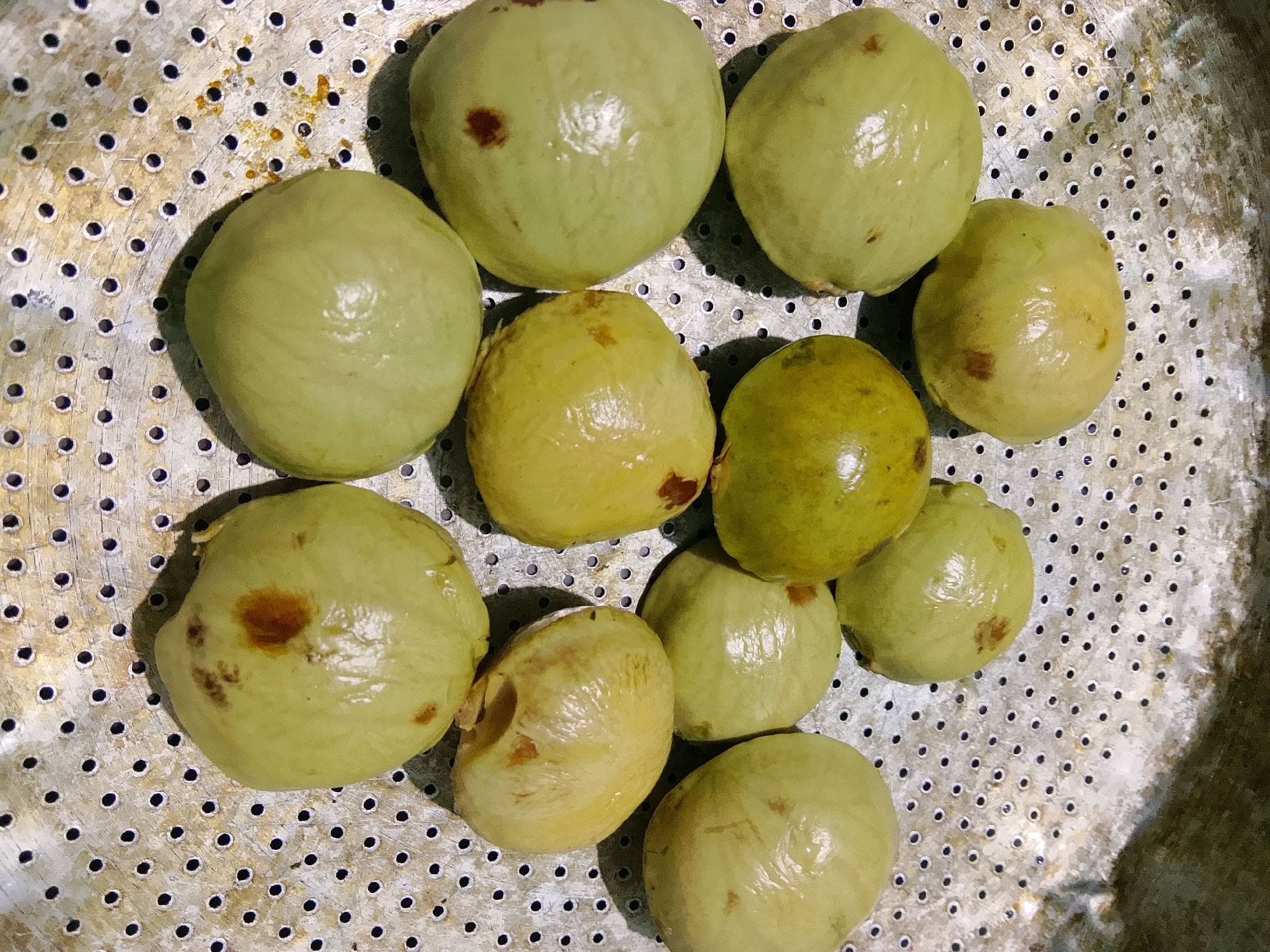 The image shows a close-up, overhead view of several ripe guavas placed on a metal steamer basket. The guavas are mostly pale green to yellowish-green, with some exhibiting brown blemishes. The steamer basket has a grid of small, uniformly spaced holes. The lighting creates shadows that fall to the right of each guava, suggesting the light source is from the upper left. There is no indication of a specific location in the city of Padang, Indonesia, or any people present. The image appears to be a still life of fruit.