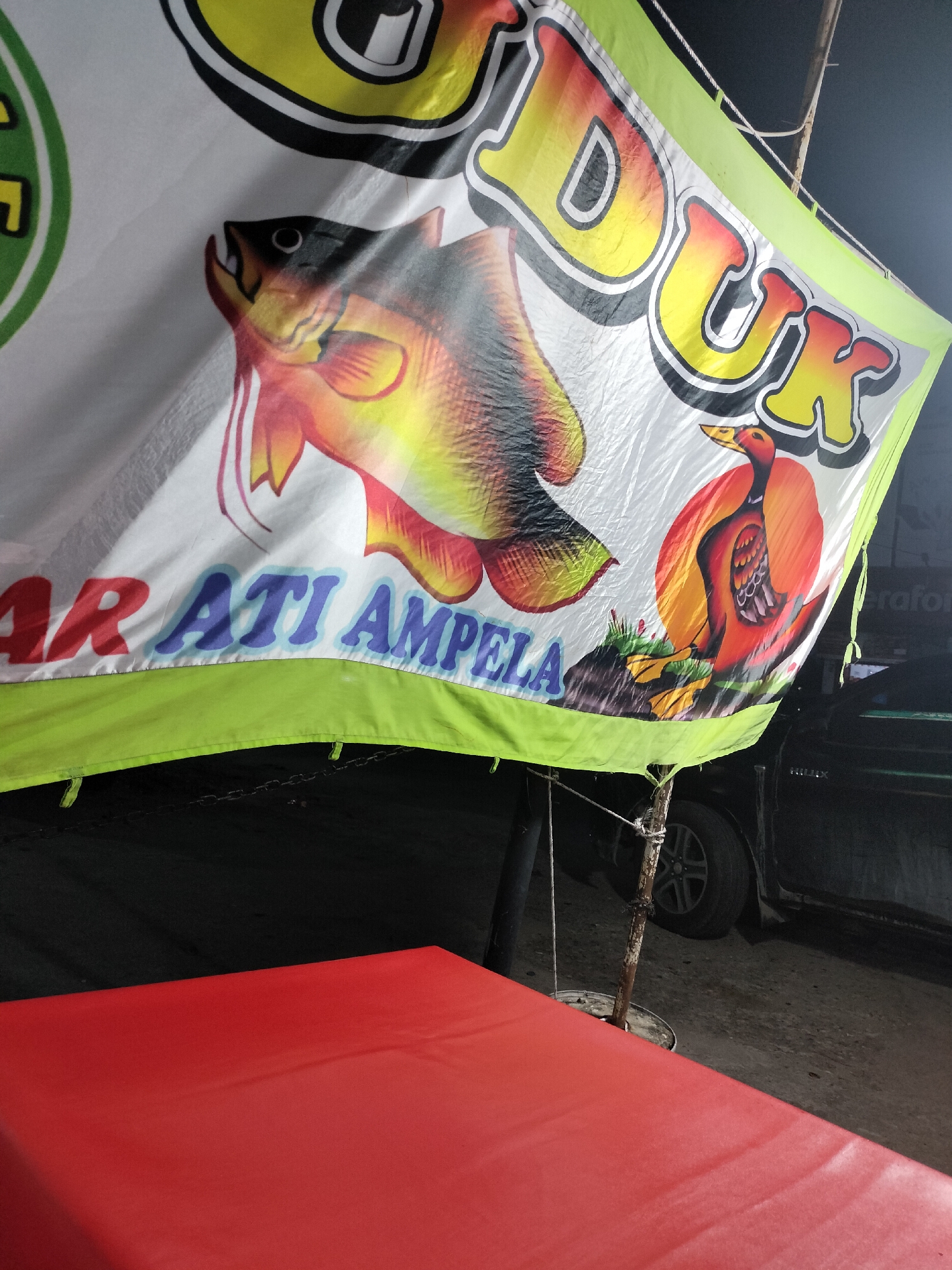 The image shows a close-up of a colorful banner advertising food, likely a food stall or restaurant, at night in Langsa, Indonesia. The banner features vibrant graphics of a fish and a duck, along with text that appears to be in Indonesian. The words "DUCK" are prominently displayed in large, stylized letters at the top right, and "AR ATI AMPELA" is visible in blue text across the bottom. The banner is partially illuminated, suggesting it is lit by artificial light. In the foreground, a red surface, possibly a table, is visible. In the background, a dark vehicle is parked, and the ground appears to be unpaved. The overall scene depicts a common roadside food establishment in an Indonesian city.