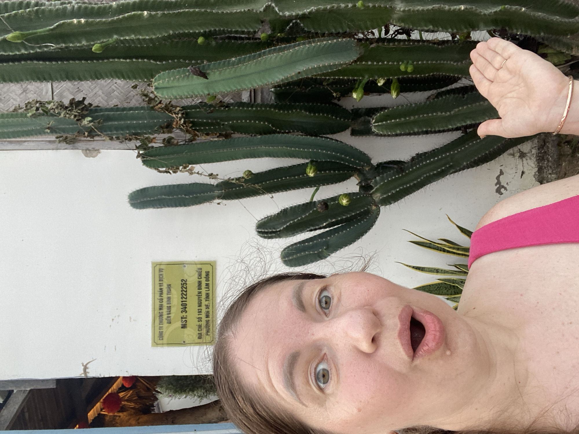 The image is a selfie taken by a light-skinned woman with brown hair. She is wearing a pink top and has a surprised expression on her face. Her right hand is raised near a large, green cactus plant that is growing against a white wall. The cactus is covered in small, green buds.
On the wall, there is a green and yellow sign with Vietnamese writing that translates to: "COMPANY TRADE, SHARES AND SERVICE BIEN VANG BINH THUAN. MST: 3401222252. ADDRESS: NO. 193 NGUYEN DINH CHIEU PHUONG MOI SE, TINH LAM DONG." According to the sign, the address indicates the location is in Phu Thuy Ward, Vietnam. In the bottom left corner of the image, chickens are visible.