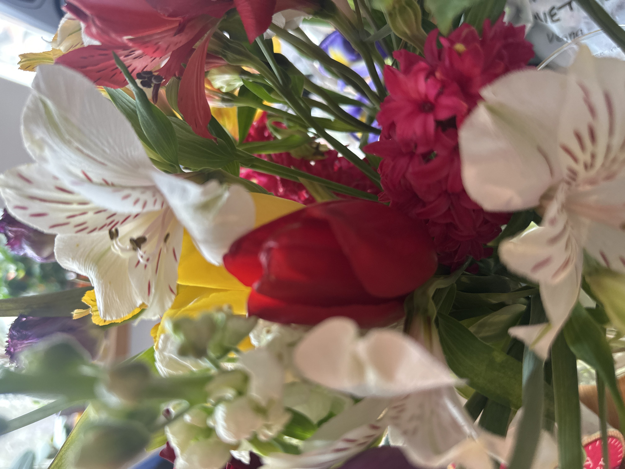 The image depicts a close-up view of a bouquet of flowers. Prominent flowers include white alstroemeria with reddish-brown stripes, a red tulip, red hyacinth, yellow flowers, and green foliage. The overall composition is tightly packed, with the flowers overlapping. The location is Unknown, Unknown.