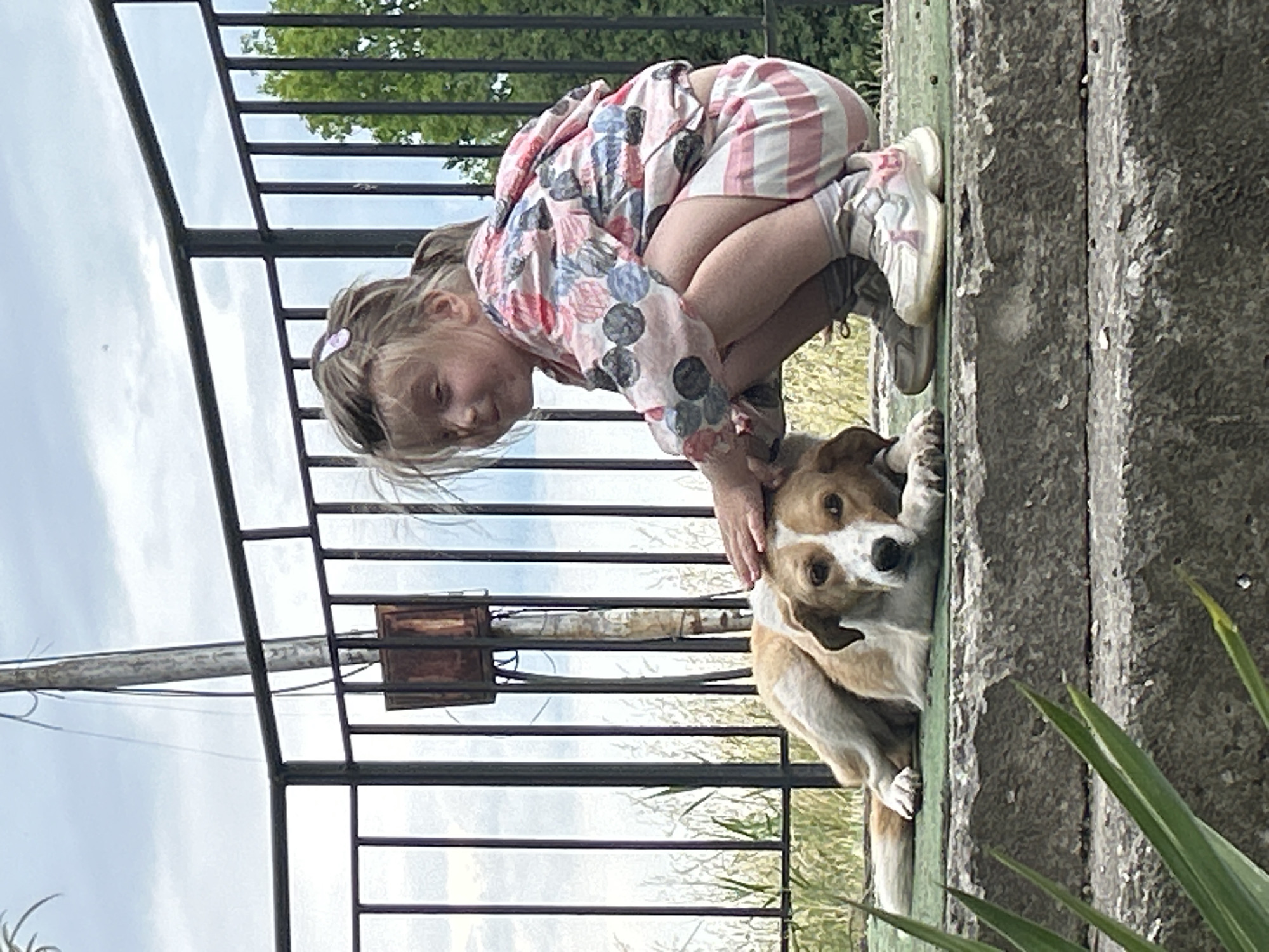 A young girl is squatting next to a brown and white dog on a concrete surface in Burgas, Bulgaria. The girl has blonde hair and is wearing a pink floral jacket, pink and white striped shorts, and white sneakers. She is petting the dog's head. A black metal railing is visible in the background, along with a utility pole and foliage. The sky is overcast. The concrete surface appears to be part of a staircase or ledge. Green plants are also visible in the foreground.