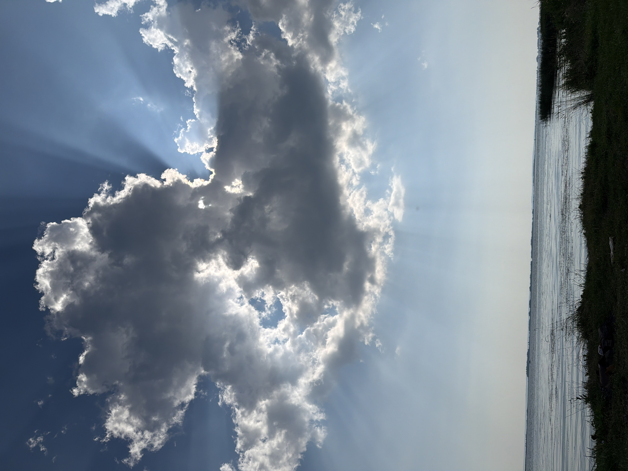 The image depicts a dramatic sky over a body of water. A large, dark cloud dominates the upper center of the frame, with bright rays of sunlight piercing through its edges and casting luminous beams downwards. The sky transitions from a deep blue near the cloud to a lighter, hazy blue towards the horizon. Below the sky, a vast expanse of water stretches across the lower half of the image, appearing calm with subtle ripples on its surface. The distant horizon shows a faint, flat landmass. The foreground consists of a dark, silhouetted grassy bank with some scattered debris, including what appears to be a small pile of firewood. This scene is likely a natural landscape, possibly a lake or riverbank, observed from a low vantage point on the shore. The location is specified as Krasny Bor, Russia.