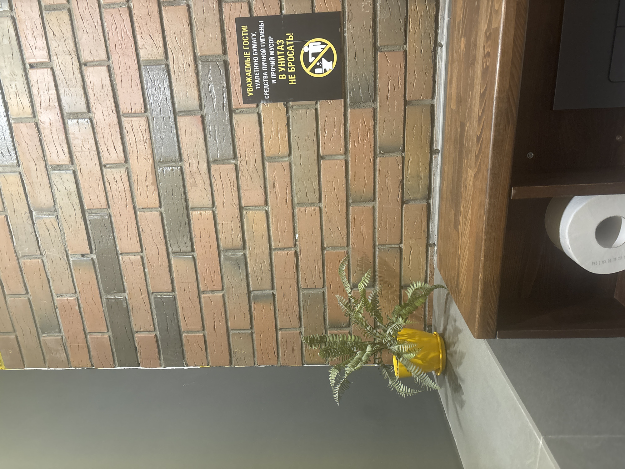 The image shows a close-up of a bathroom interior with a brick wall. On the wall, there is a sign in Russian that reads "DEAR GUESTS! DO NOT FLUSH TOILET PAPER, PERSONAL HYGIENE PRODUCTS AND OTHER GARBAGE DOWN THE TOILET!" with a prohibition symbol over a depiction of a toilet. To the left of the sign, a green potted fern sits on a grey ledge, against a dark grey wall. Below the ledge, a wooden cabinet is visible, containing a roll of toilet paper. The location is a public restroom in the city of Naberezhnye Chelny, Russia.
