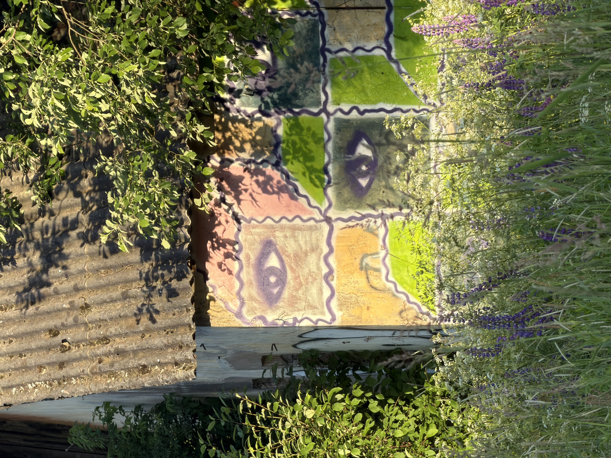 In an outdoor scene in the city of Unknown, Unknown, a weathered building with a corrugated metal roof is covered in graffiti. The graffiti features abstract patterns and two stylized eyes. Lush green foliage and tall grasses with purple lupine flowers surround the building. The sun casts shadows on the building and foliage, indicating it is daytime.