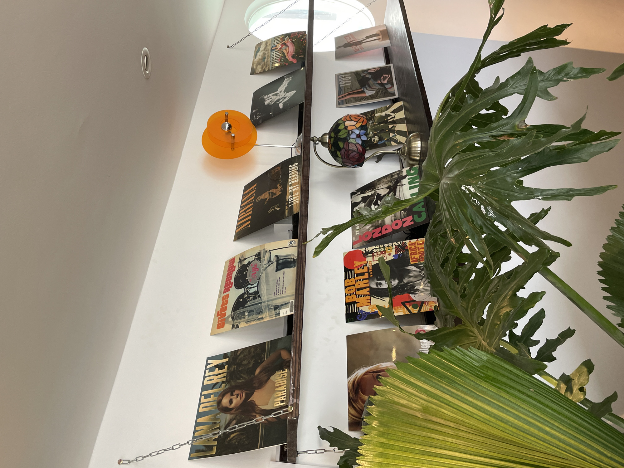 This is a medium shot, eye-level, indoor photograph of a wall with two shelves displaying vinyl records and decorative items. On the top shelf, from left to right, are records by Lana Del Rey ("Paradise"), an unnamed artist with a drum kit, Nirvana ("Live at Reading"), and two other records, one of which appears to be by a female artist. An orange, circular lamp with a metal base is mounted on the wall above the top shelf. On the bottom shelf, from left to right, are records by The Clash ("London Calling"), Bob Marley & The Wailers ("Africa Unite"), and a record with the title "1989" which appears to be a compilation. A Tiffany-style lamp with a stained-glass shade is placed on the bottom shelf between the records. Lush green foliage from two indoor plants partially obscures the view of the records on the bottom shelf. The background is a white wall. The overall impression is a curated collection of music memorabilia, suggesting a personal space with a bohemian or artistic aesthetic. The image does not provide any specific details or visual cues that would suggest it is located in Da Lat, Vietnam.